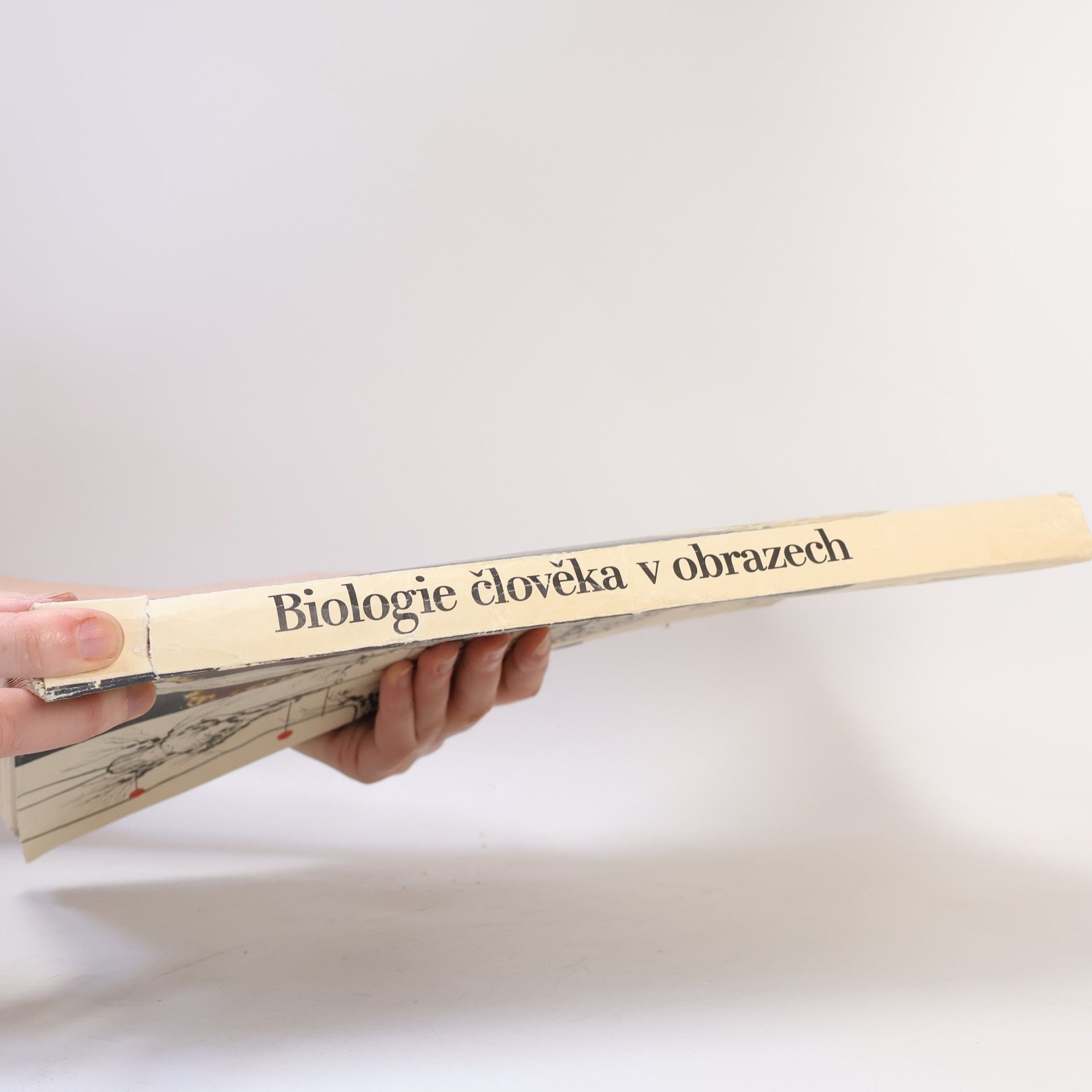 Stanislav Trojan Biologie člověka v obrazech