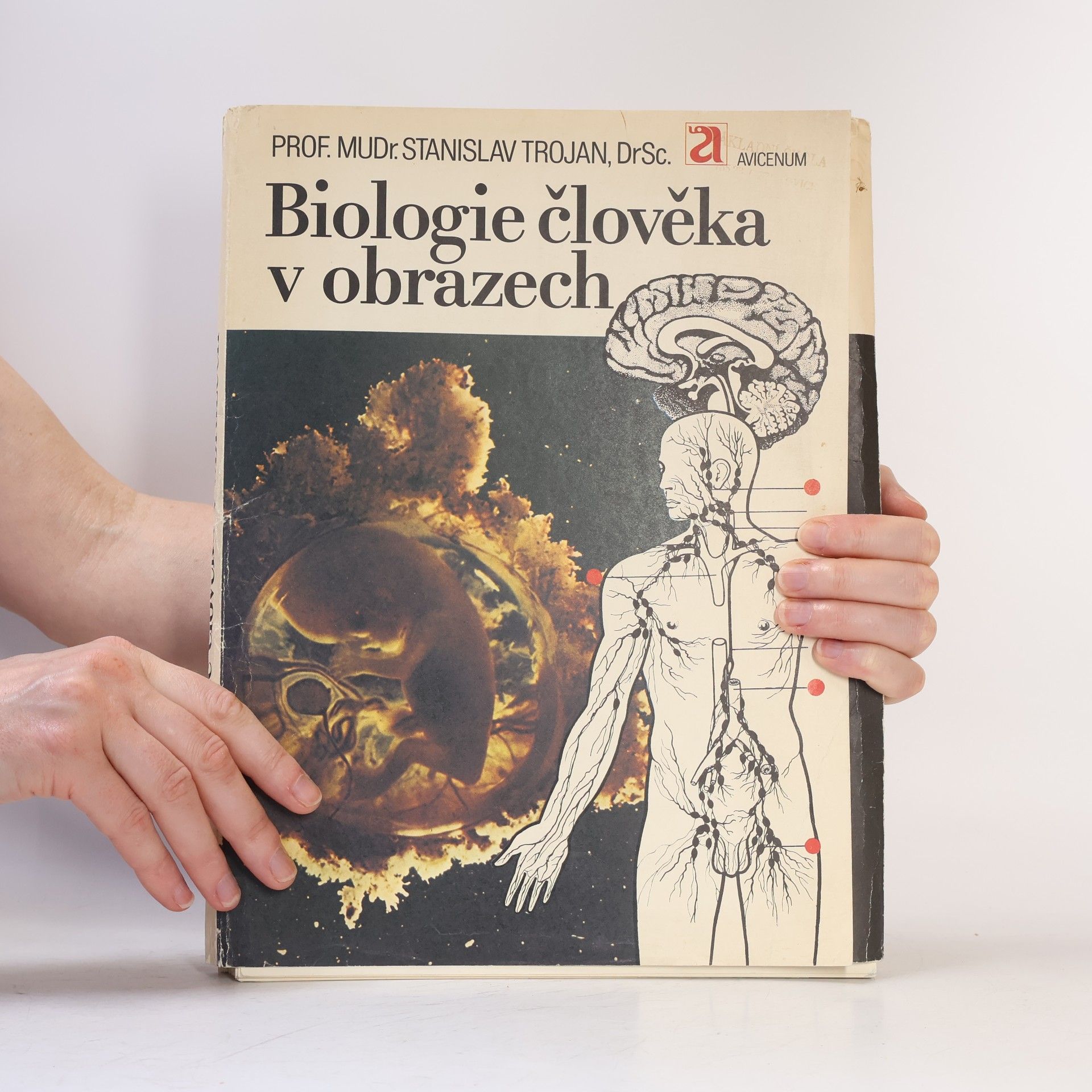 Stanislav Trojan Biologie člověka v obrazech