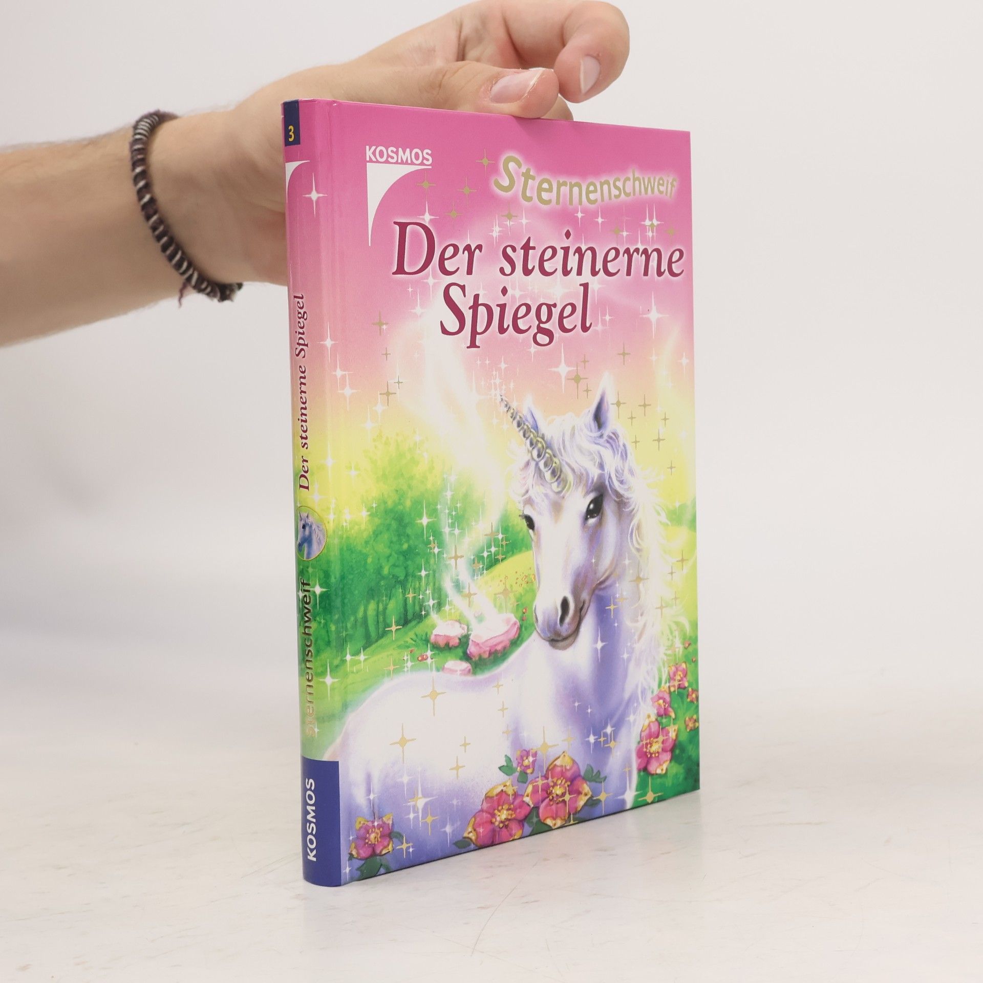 Linda Champan Sternenschweif: Der steinerne Spiegel