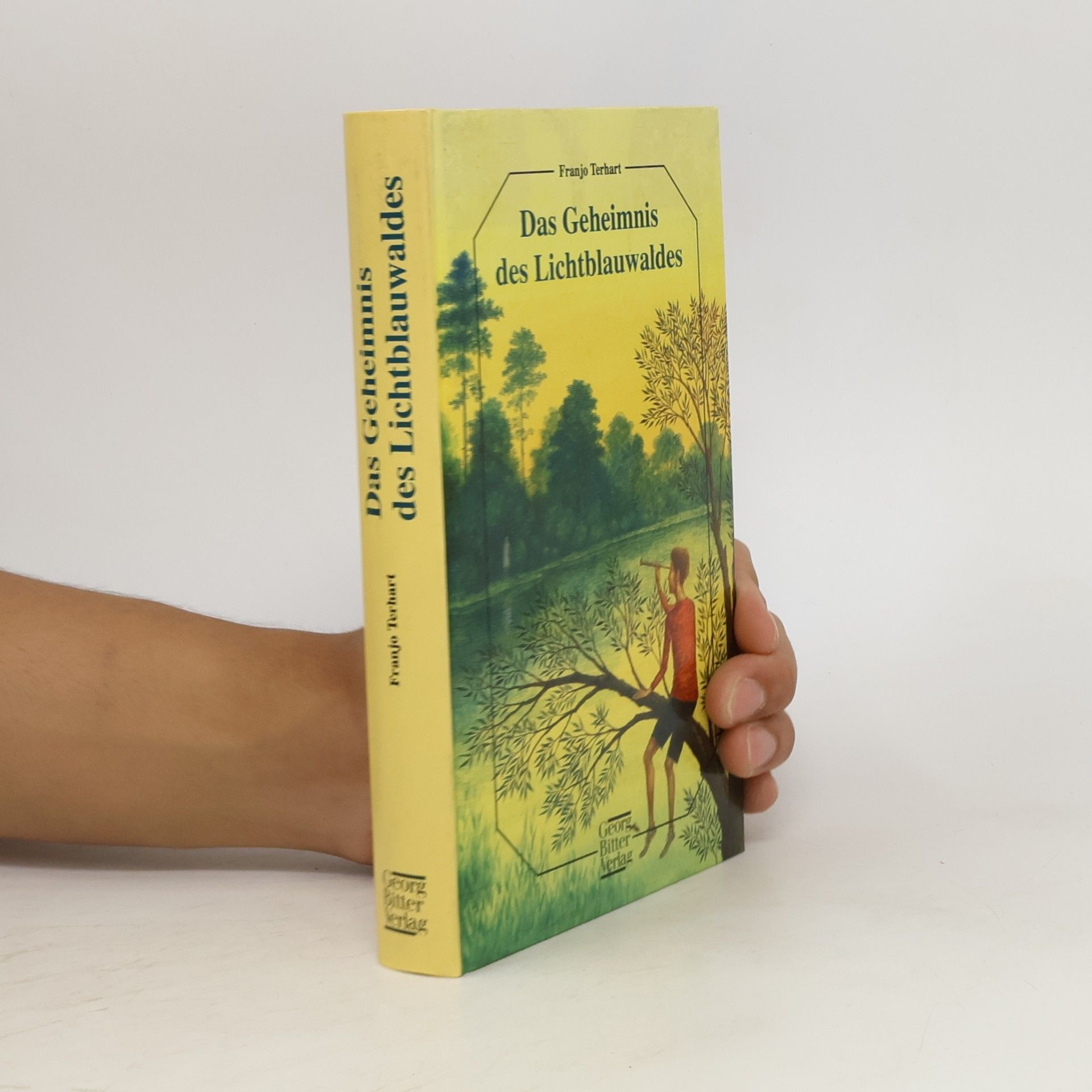 Franjo Terhart Das Geheimnis des Lichtblauwaldes