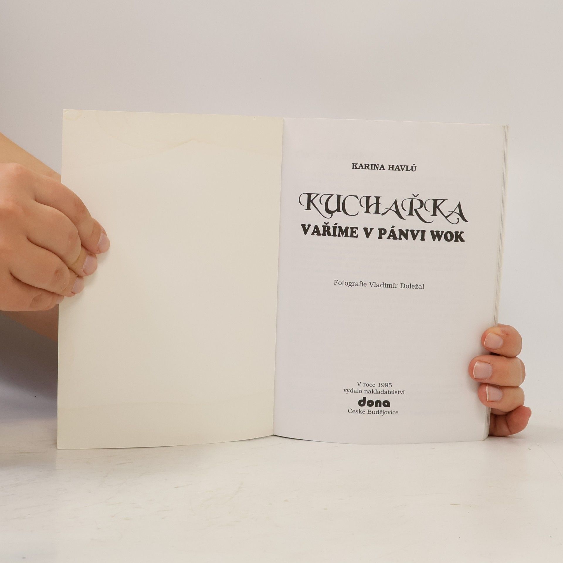 Karina Havlů Kuchařka. Vaříme v pánvi wok