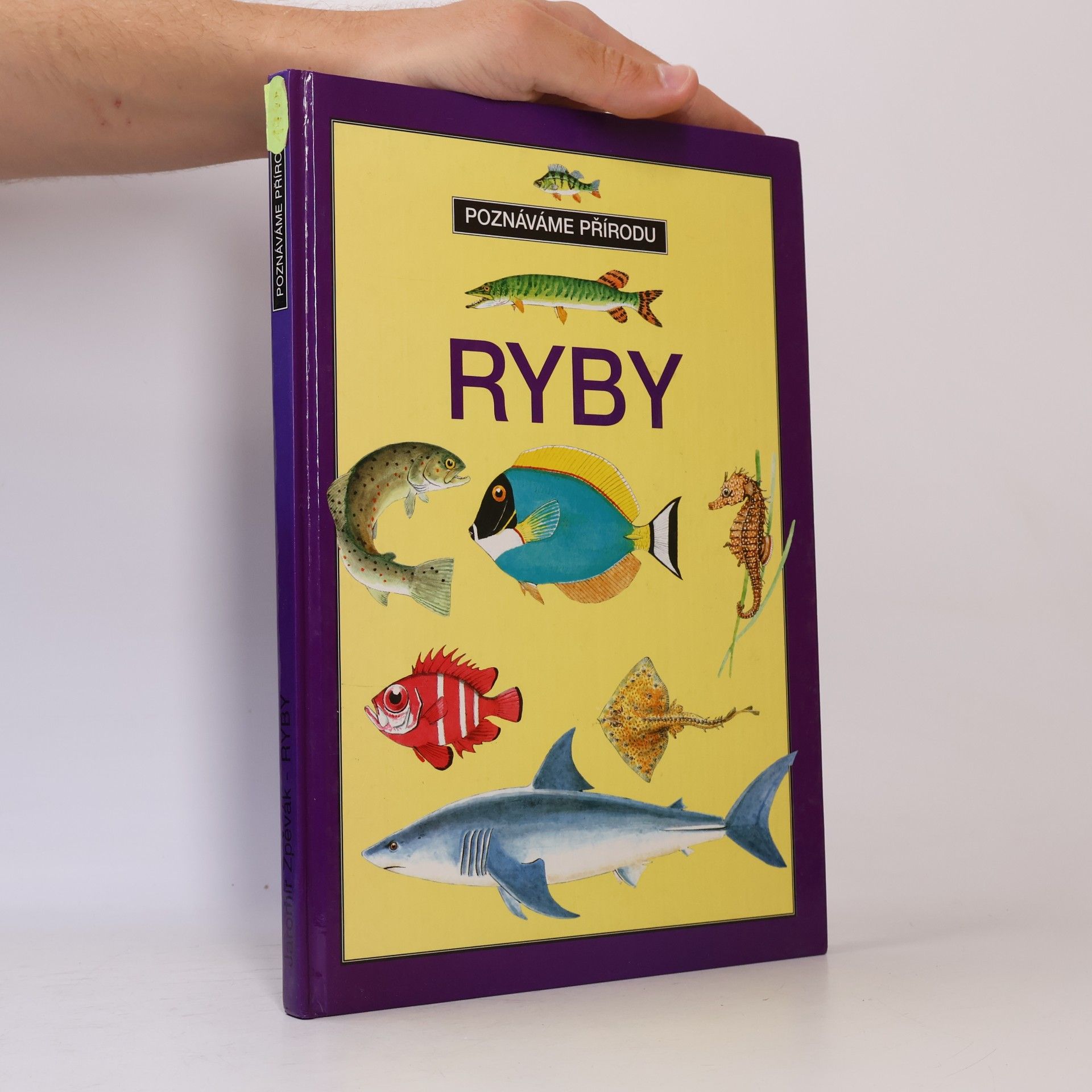 Ryby