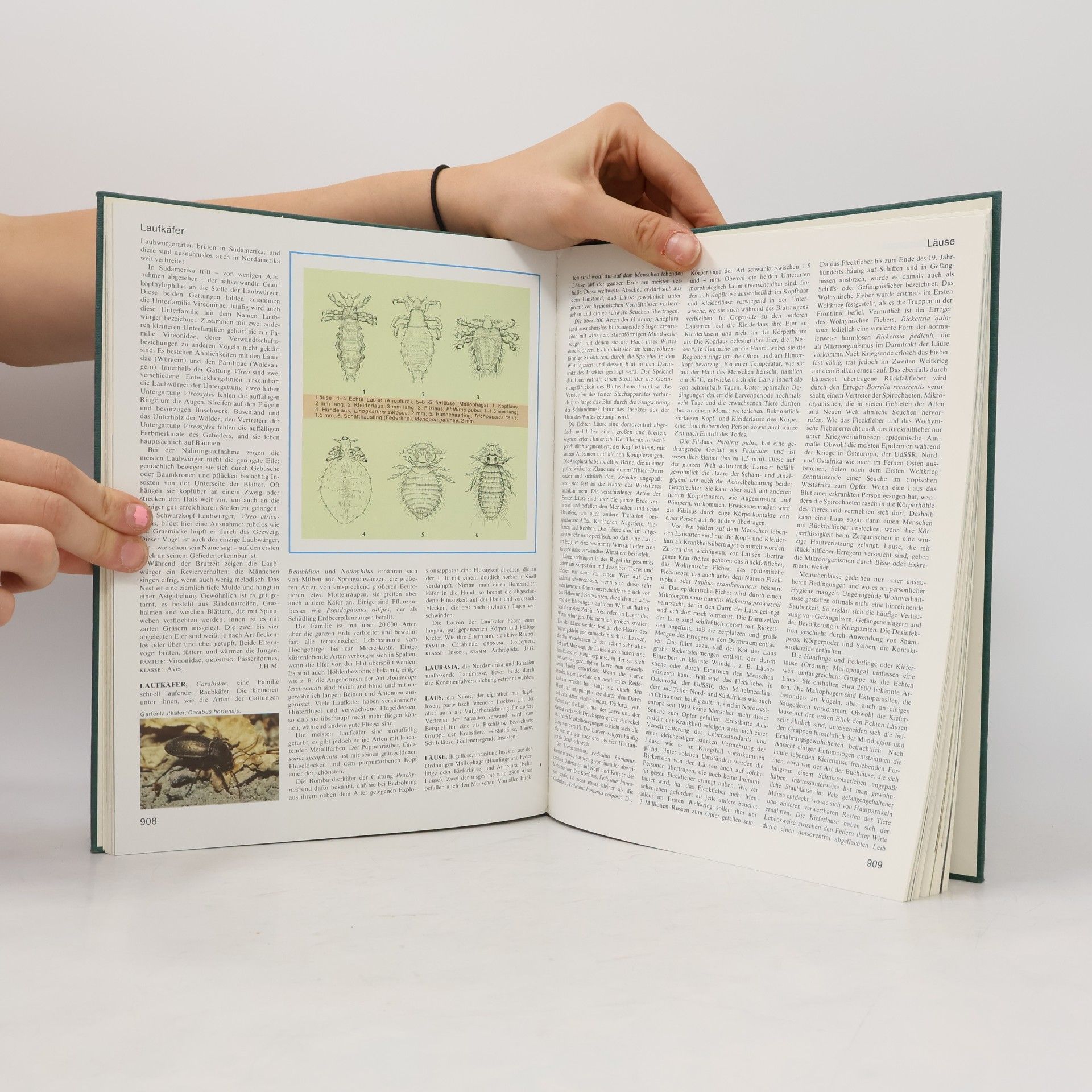 Autorenkollektiv Grosses Lexikon der Tierwelt 6