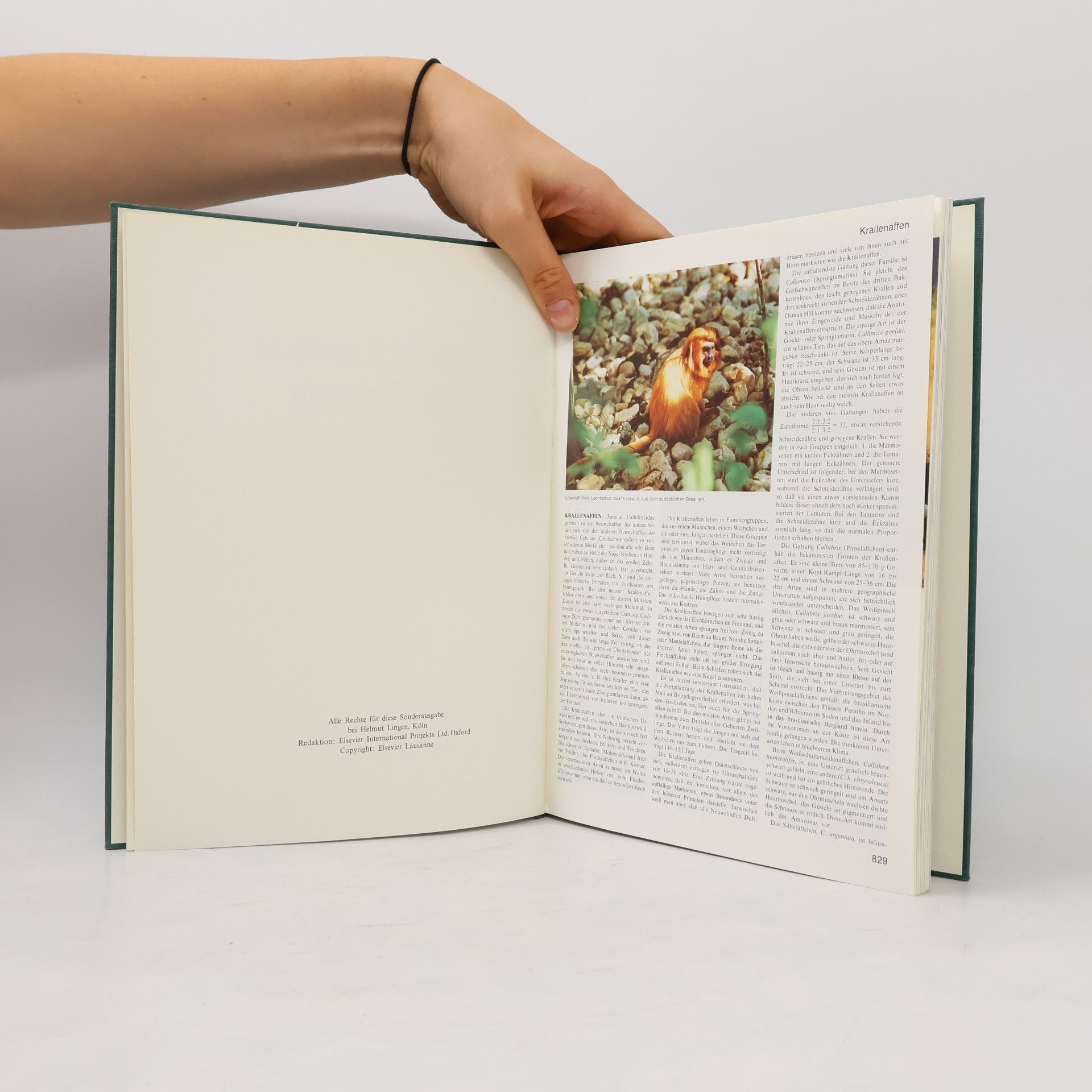 Autorenkollektiv Grosses Lexikon der Tierwelt 6