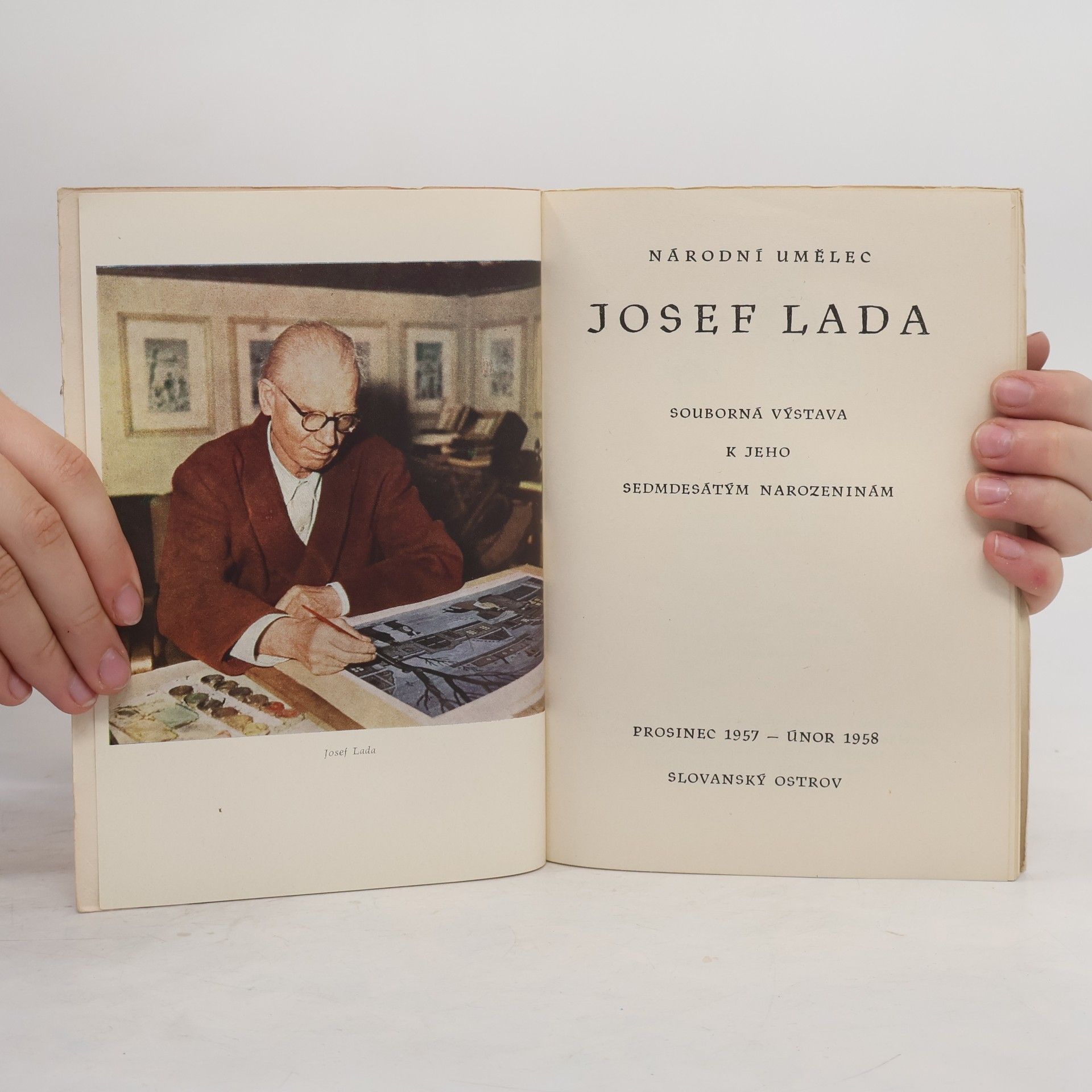 Kolektiv autorů Národní umělec Josef Lada