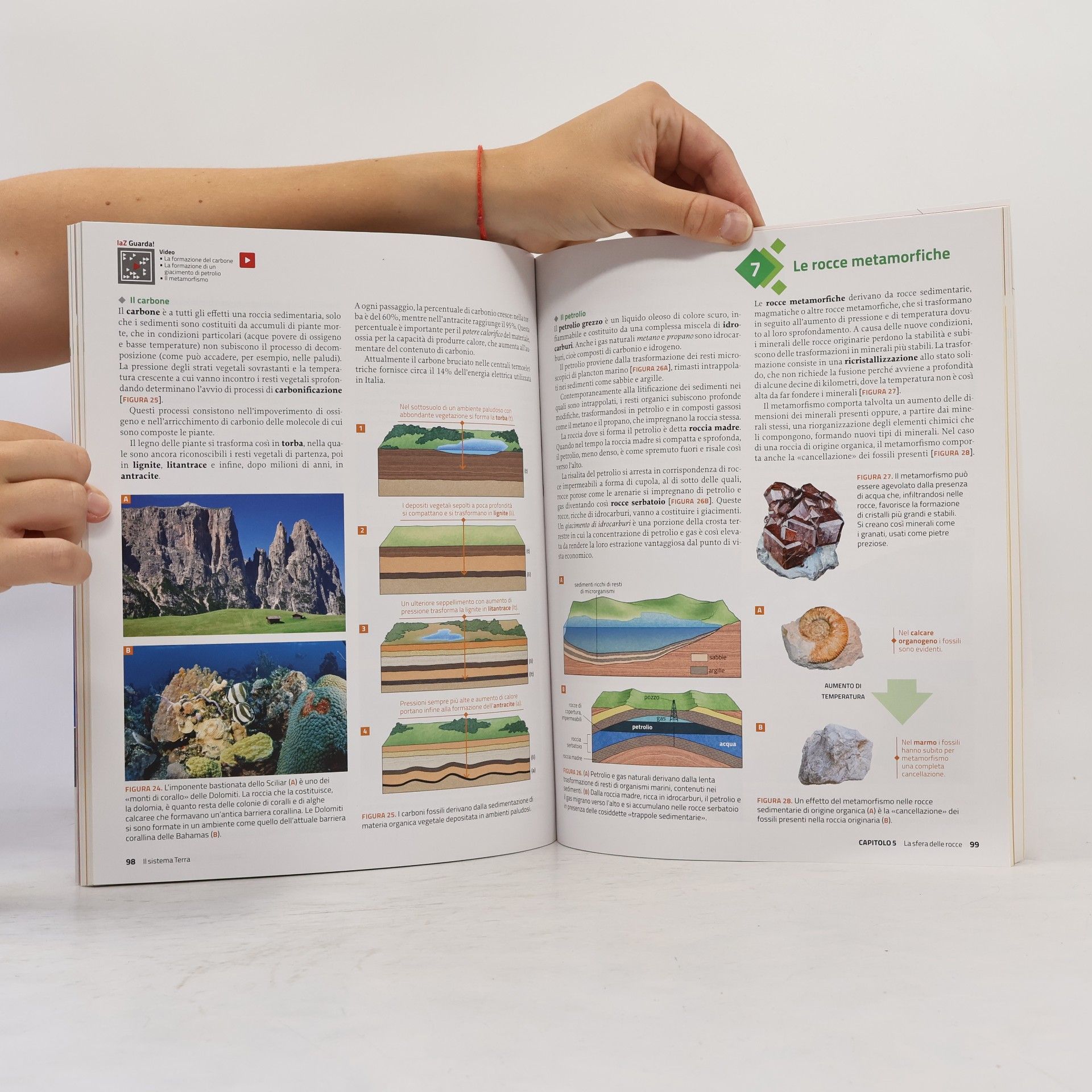 Alba Gainotti Il racconto della terra e della biologia. Per le scuole superiori
