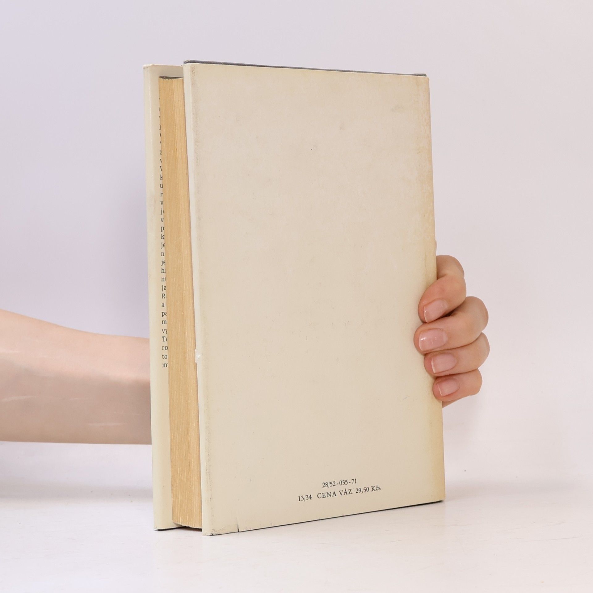 Erich Maria Remarque Vítězný oblouk