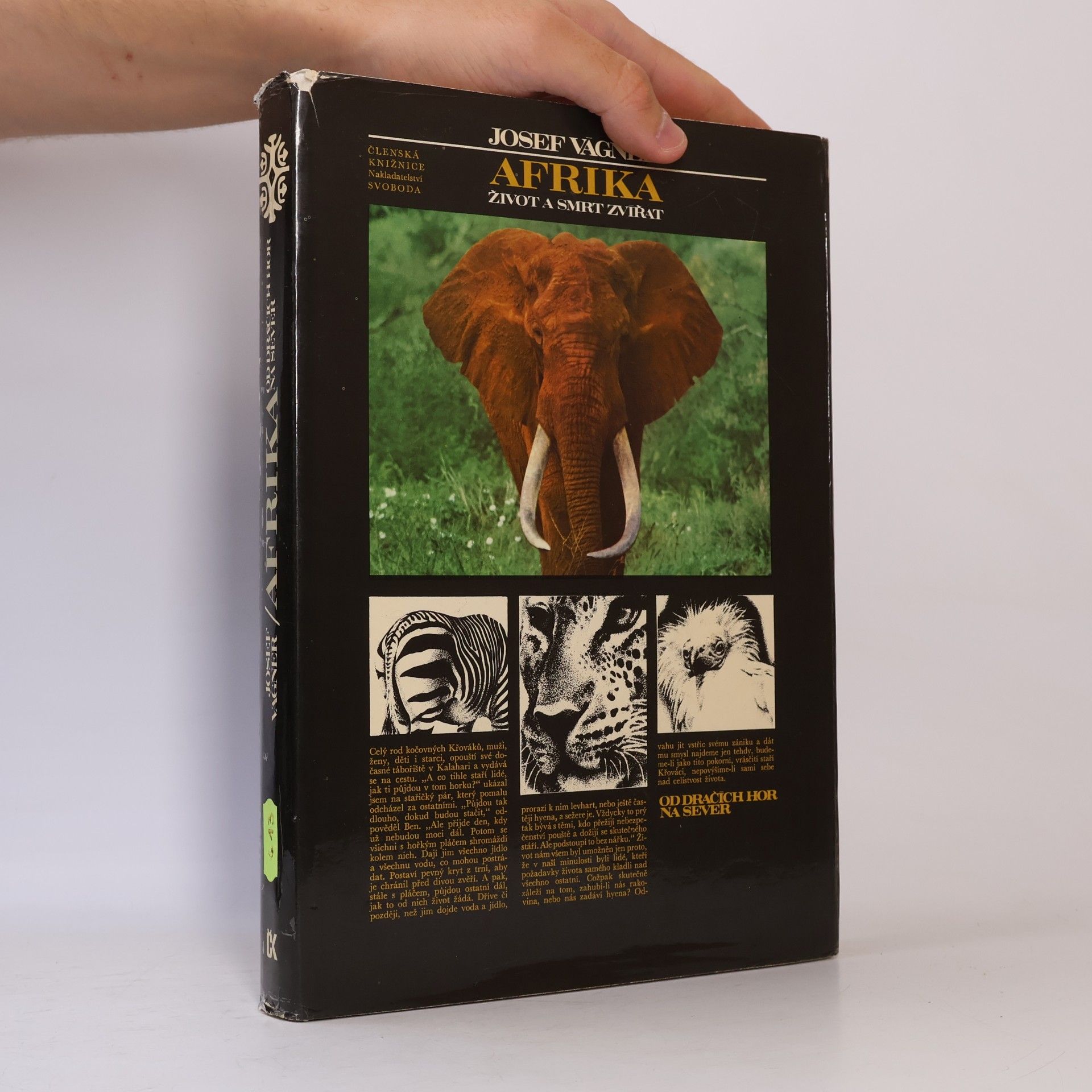 Josef Vágner Afrika. Život a smrt zvířat