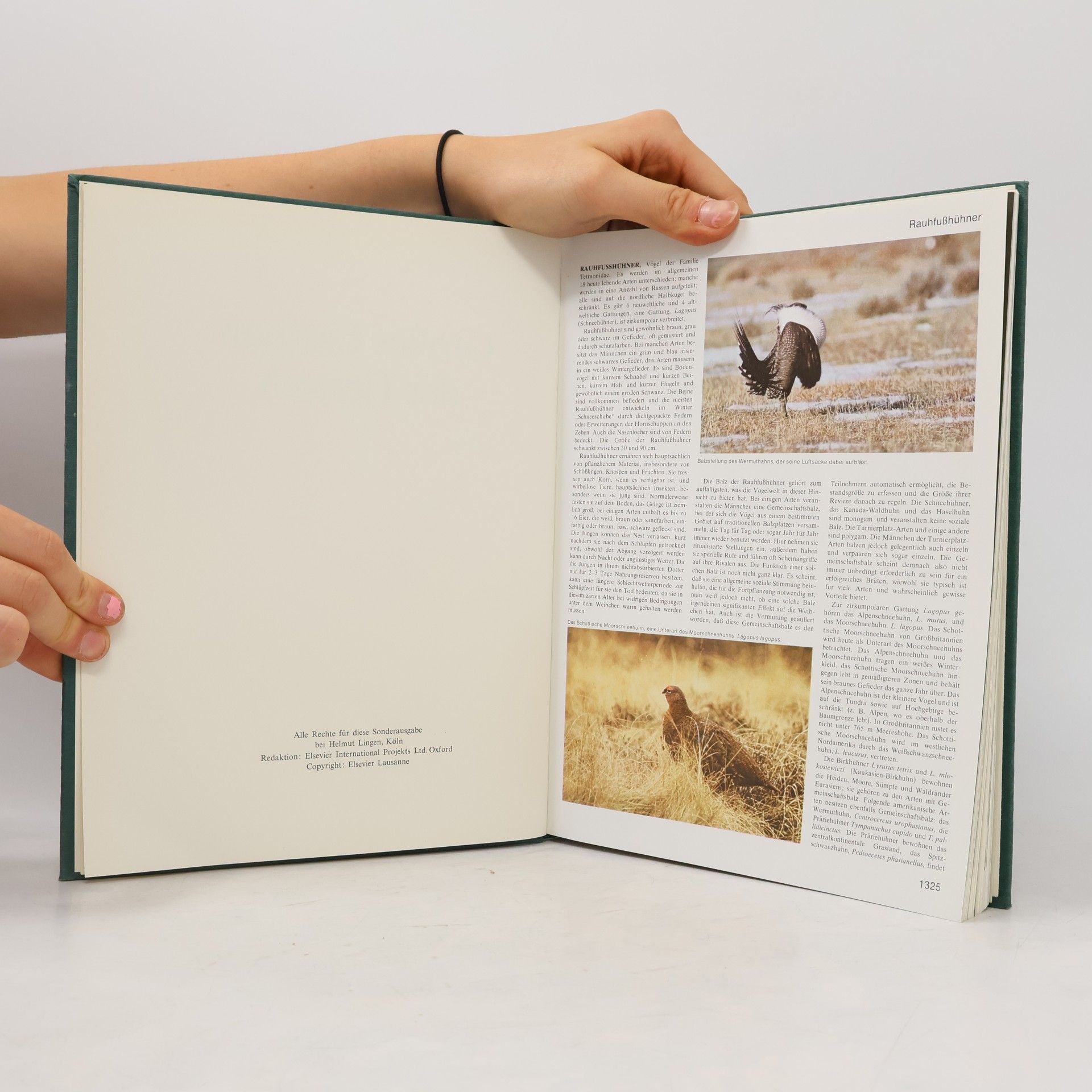 Autorenkollektiv Das grosses Lexikon der Tierwelt 9