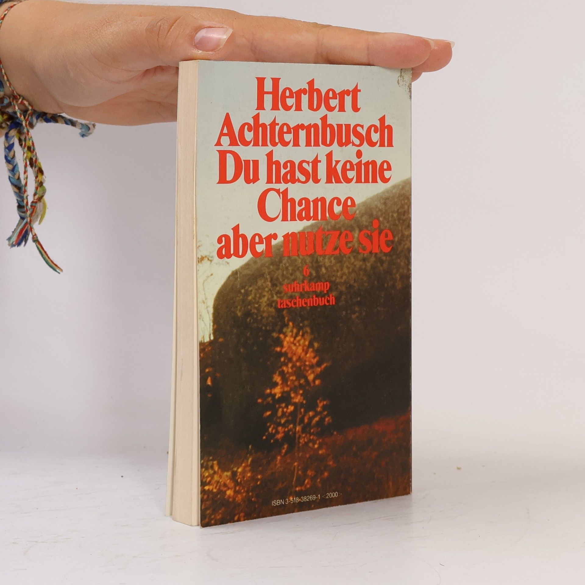 Herbert Achternbusch Die Föhnforscher. Schriften 1984.