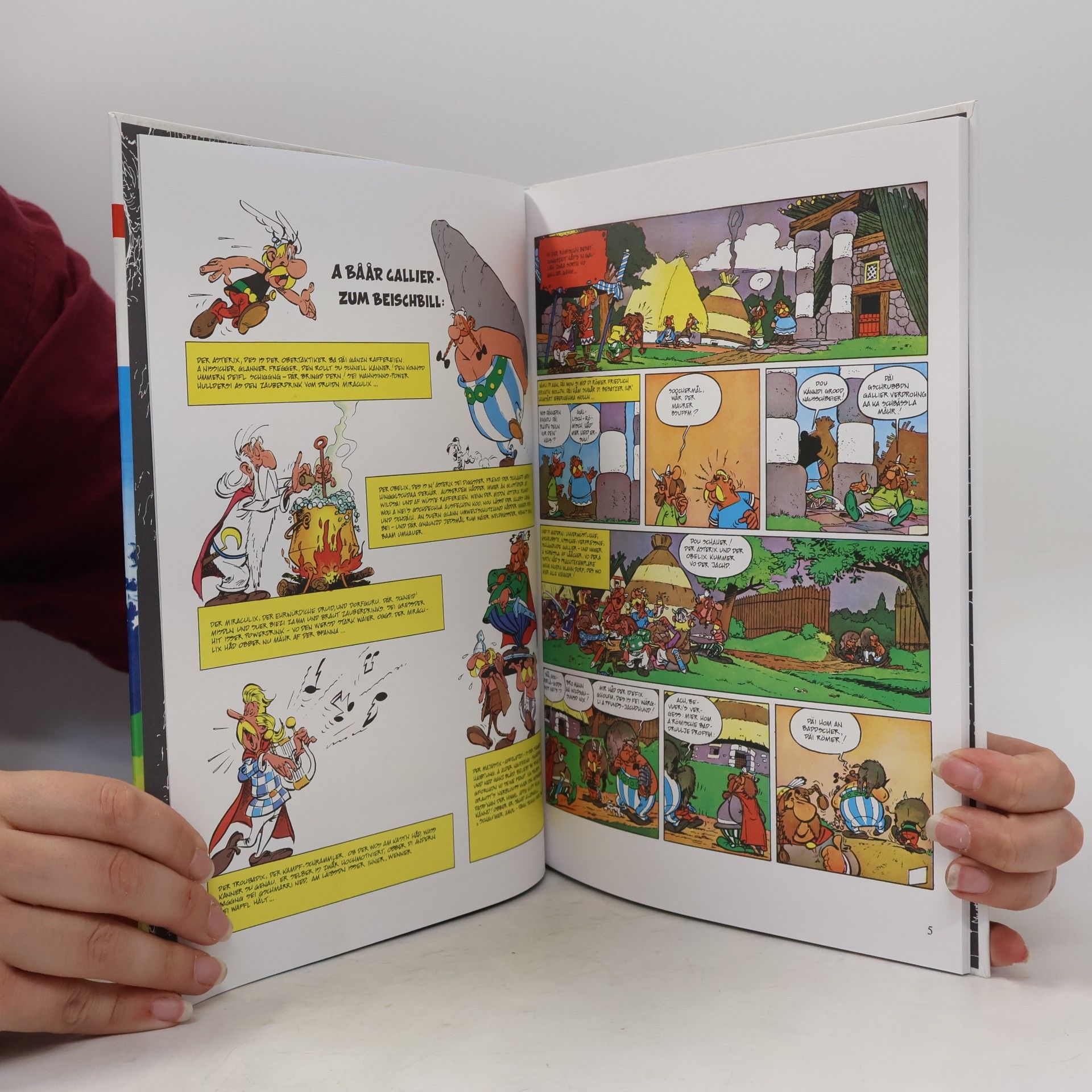 René Goscinny Asterix Mundart 18. Di Haibtling' raffm's raus!