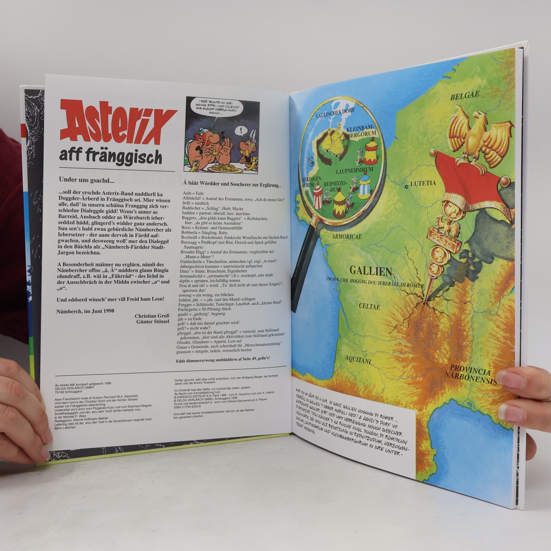 René Goscinny Asterix Mundart 18. Di Haibtling' raffm's raus!