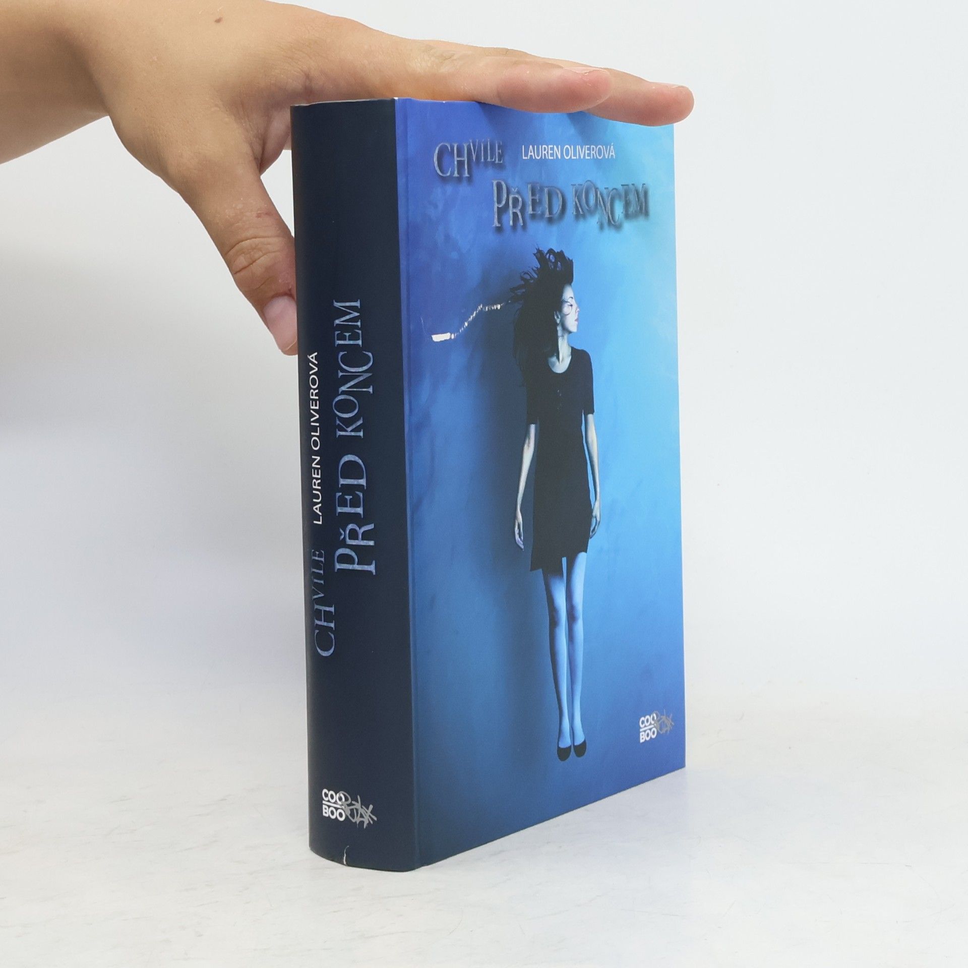 Lauren Oliver Chvíle před koncem