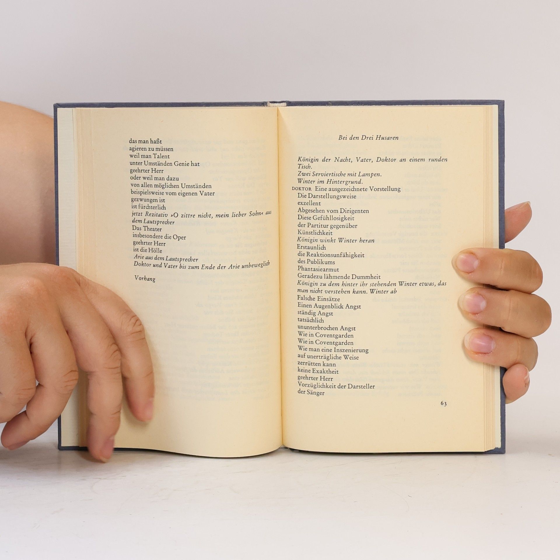 Thomas Bernhard Der Ignorant und der Wahnsinnige