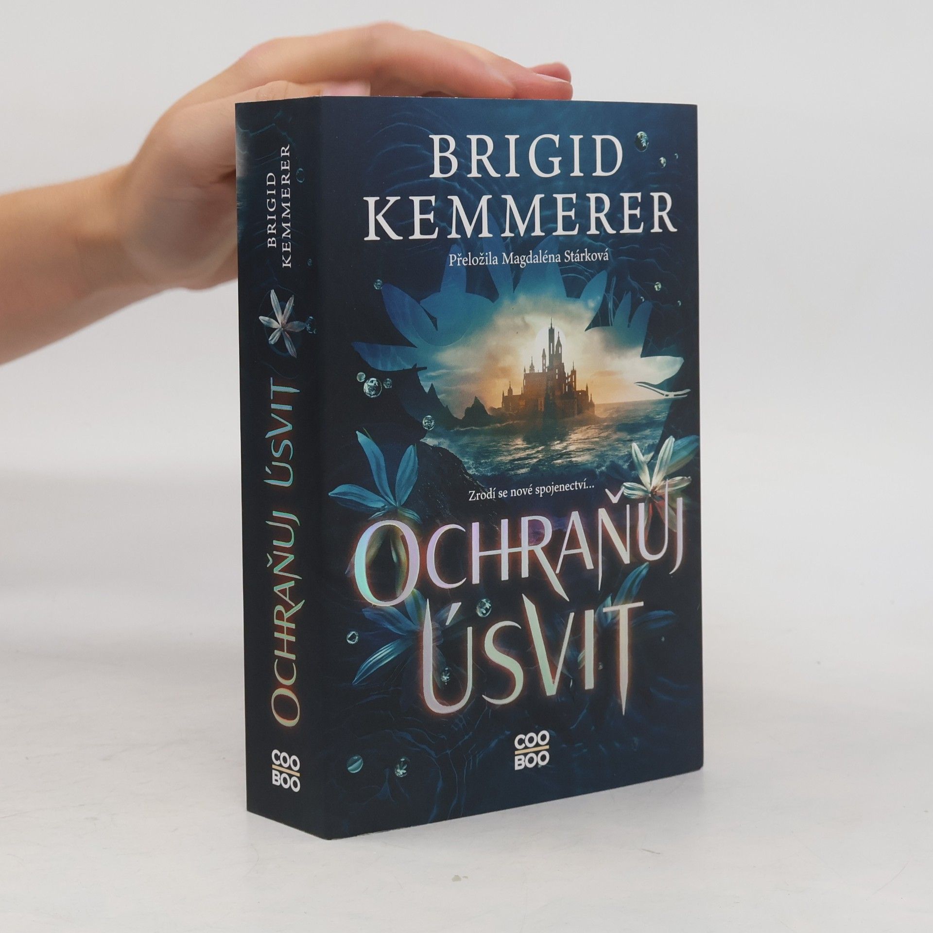 Brigid Kemmerer Ochraňuj úsvit
