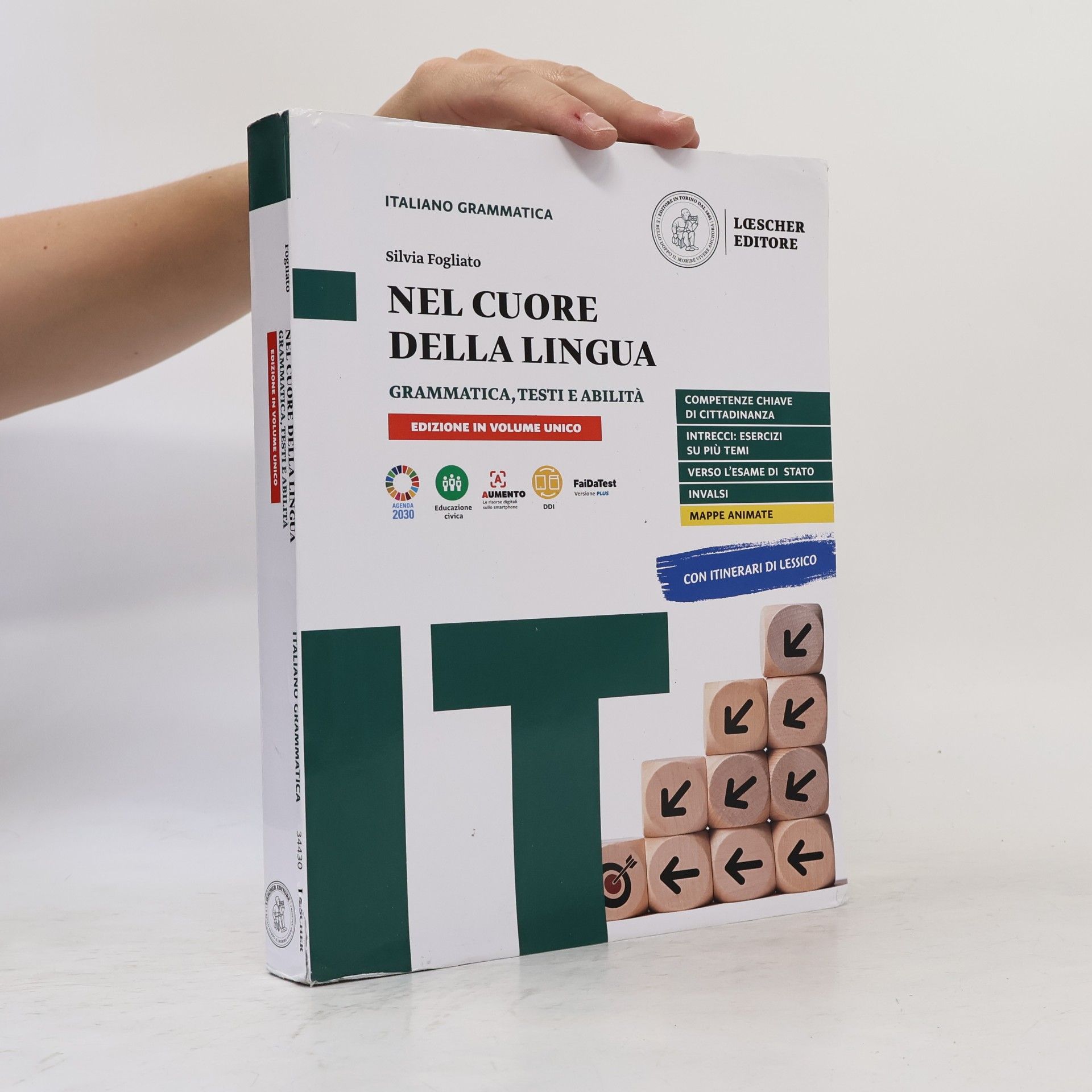 Silvia Fogliato Nel cuore della lingua. Vol. unico: grammatica-testi e abilità-le regole a colpo d'occhio. Per le scuole superiori. Con e-book. Con espansione online
