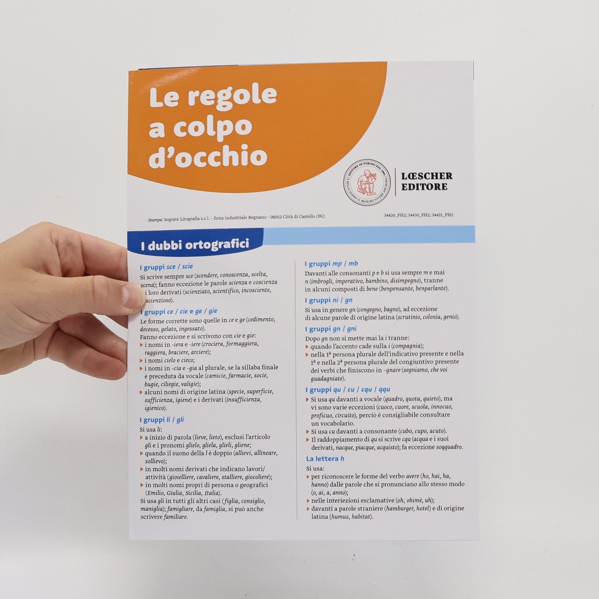 Silvia Fogliato Nel cuore della lingua. Vol. unico: grammatica-testi e abilità-le regole a colpo d'occhio. Per le scuole superiori. Con e-book. Con espansione online