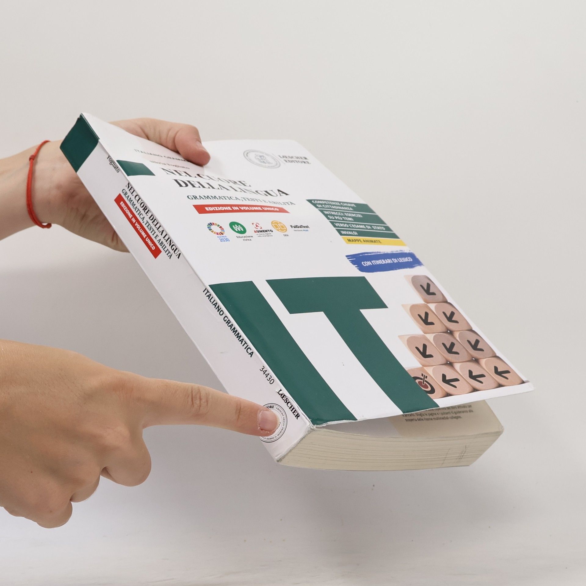 Silvia Fogliato Nel cuore della lingua. Vol. unico: grammatica-testi e abilità-le regole a colpo d'occhio. Per le scuole superiori. Con e-book. Con espansione online