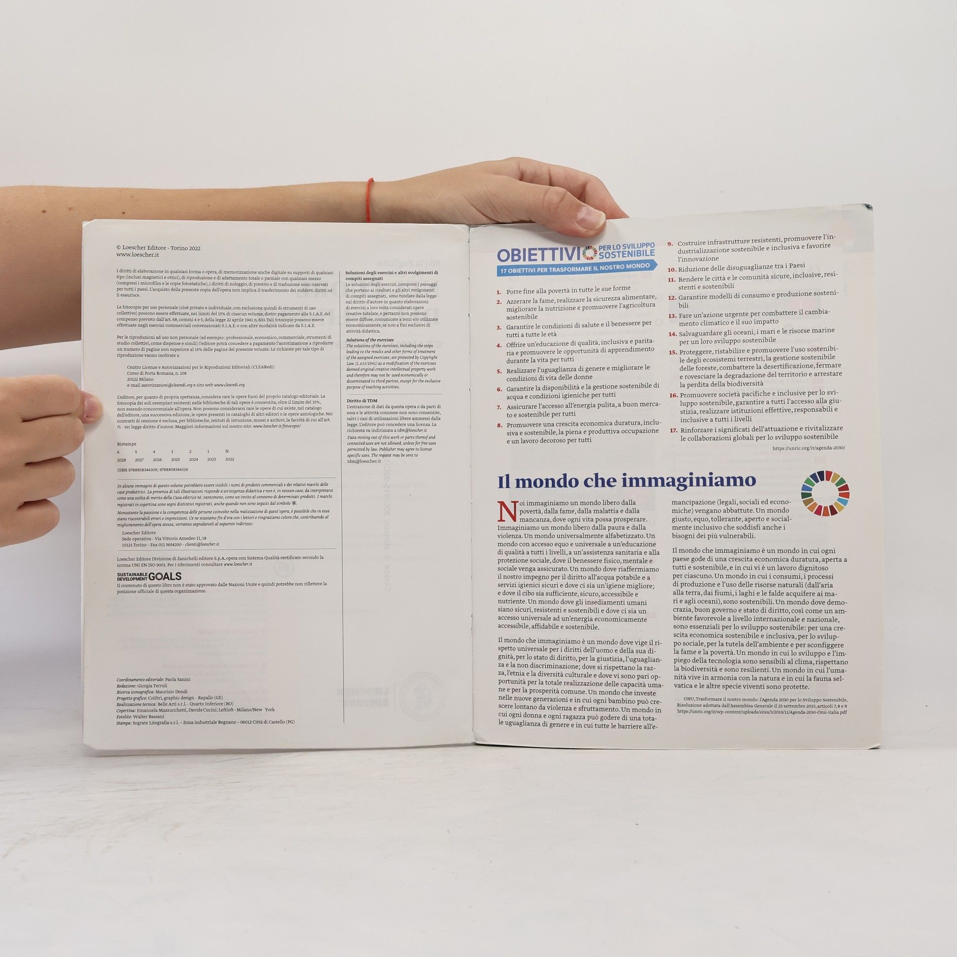 Silvia Fogliato Nel cuore della lingua. Vol. unico: grammatica-testi e abilità-le regole a colpo d'occhio. Per le scuole superiori. Con e-book. Con espansione online