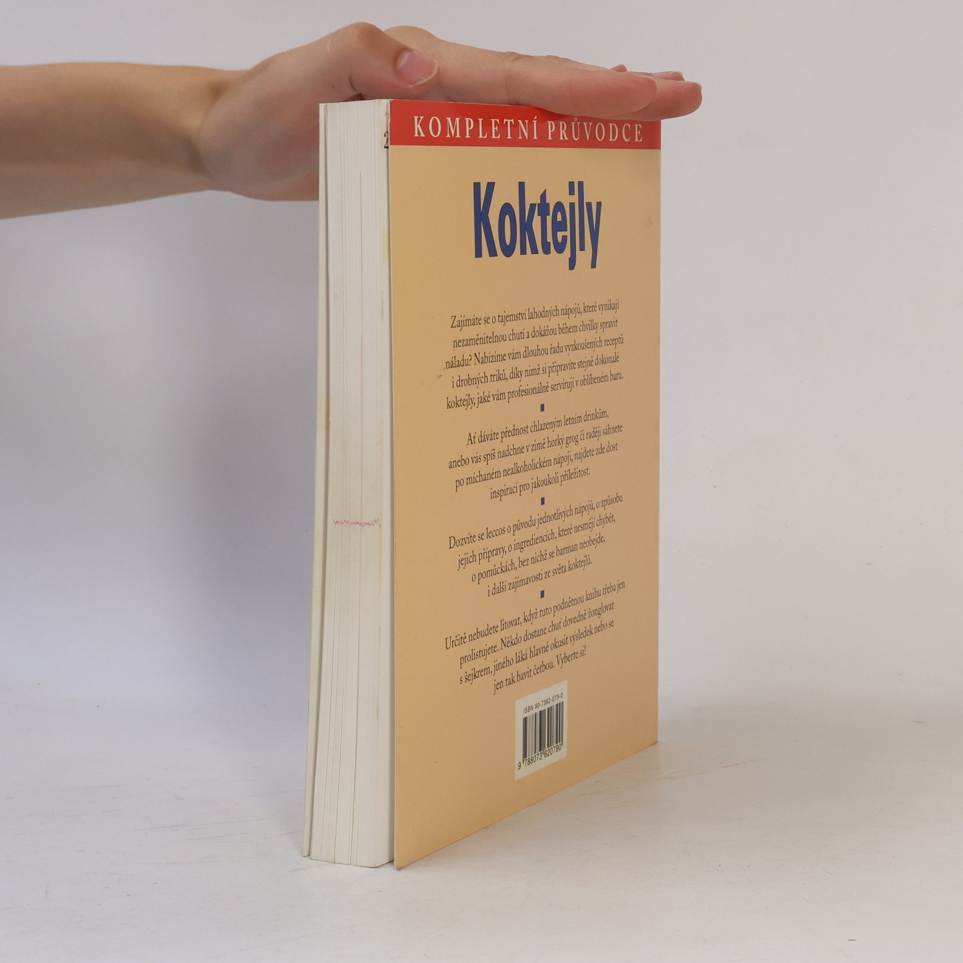Maria Constantino Koktejly : [kompletní průvodce]