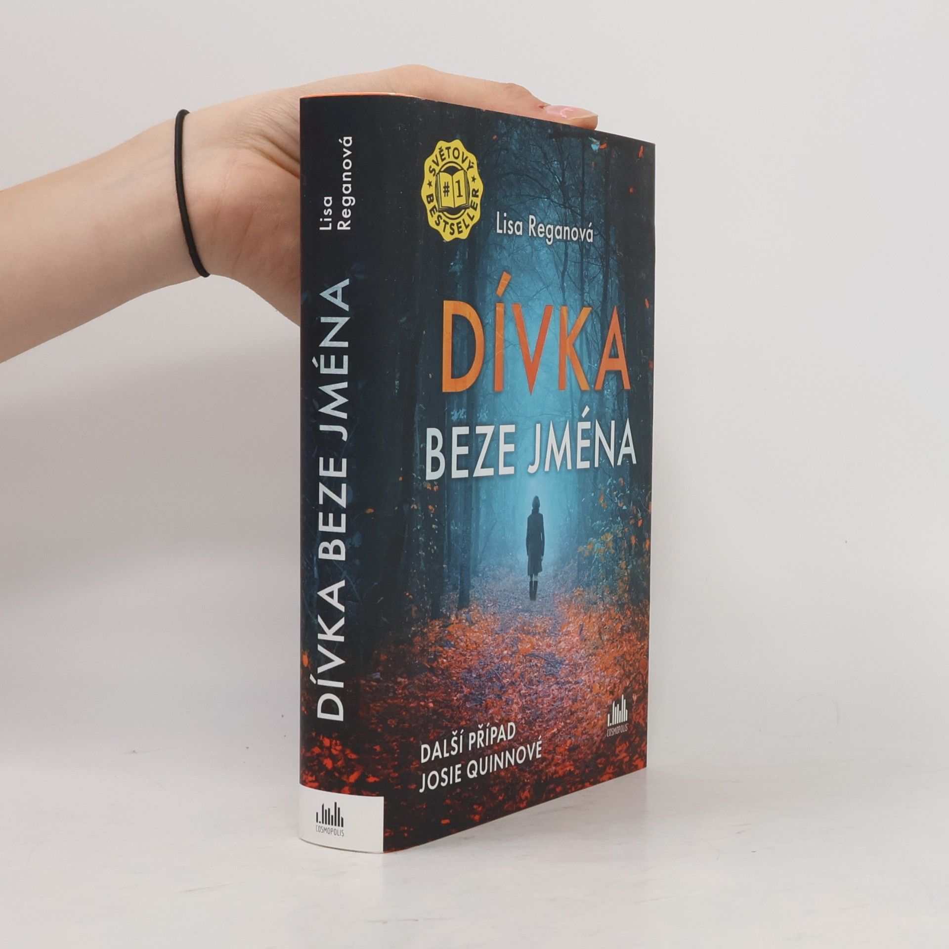 Lisa Regan Dívka beze jména: Další případ Josie Quinnové