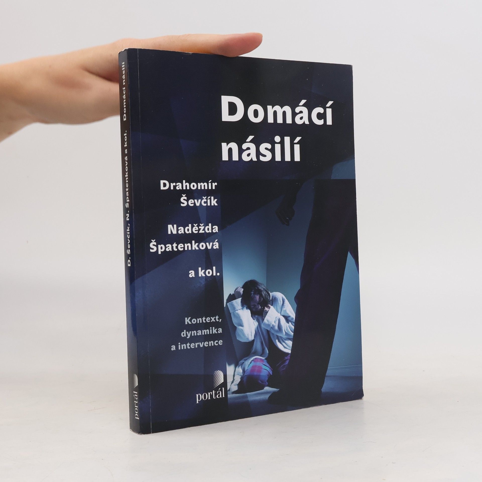 Drahomír Ševčík Domácí násilí : kontext, dynamika a intervence
