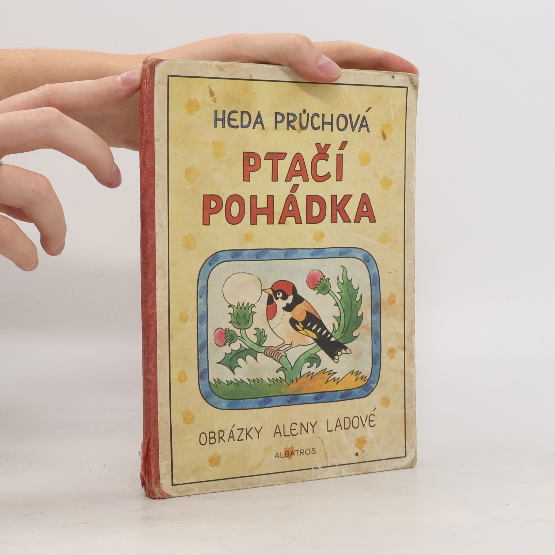 Průchová Heda Ptačí pohádka