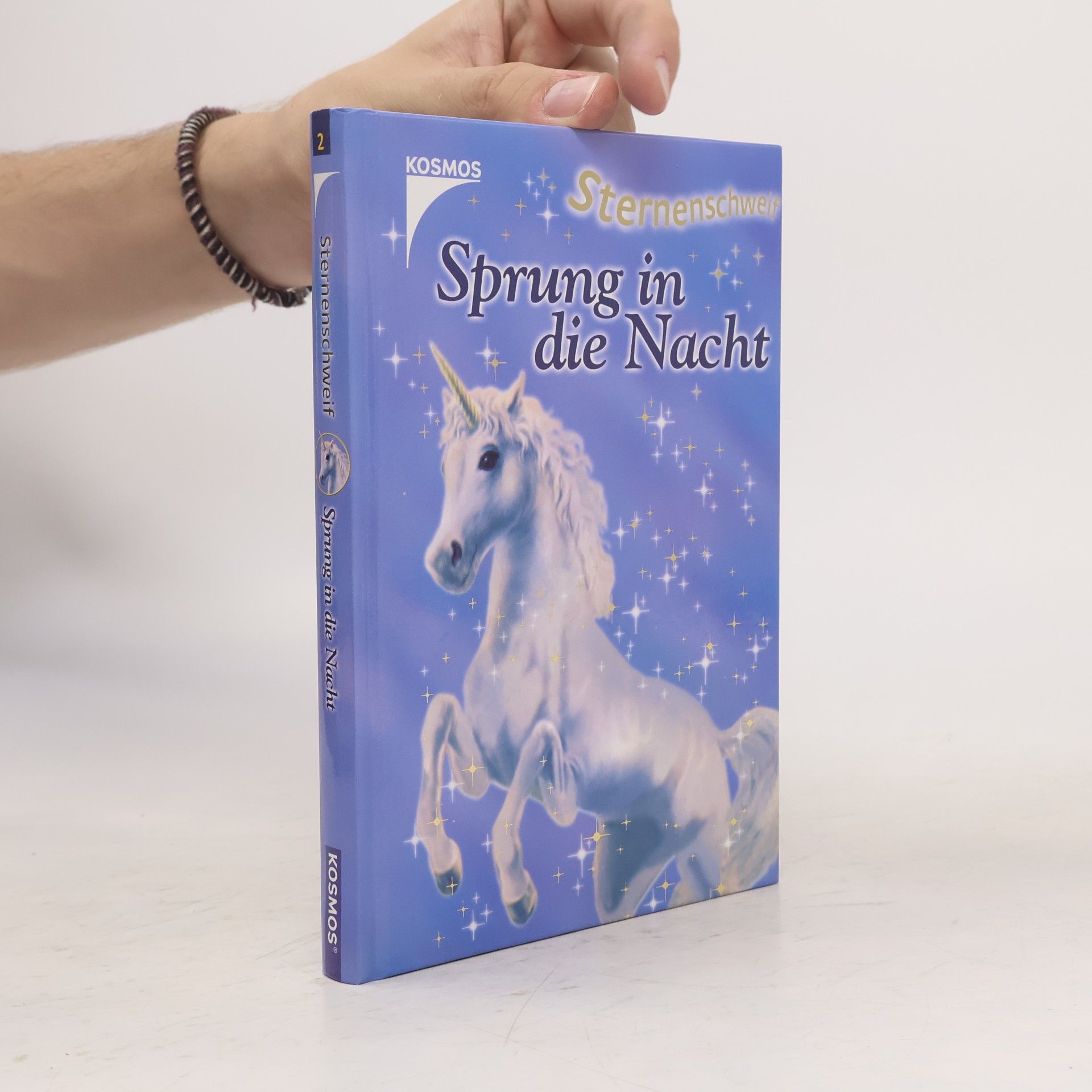 Linda Champan Sprung in die Nacht
