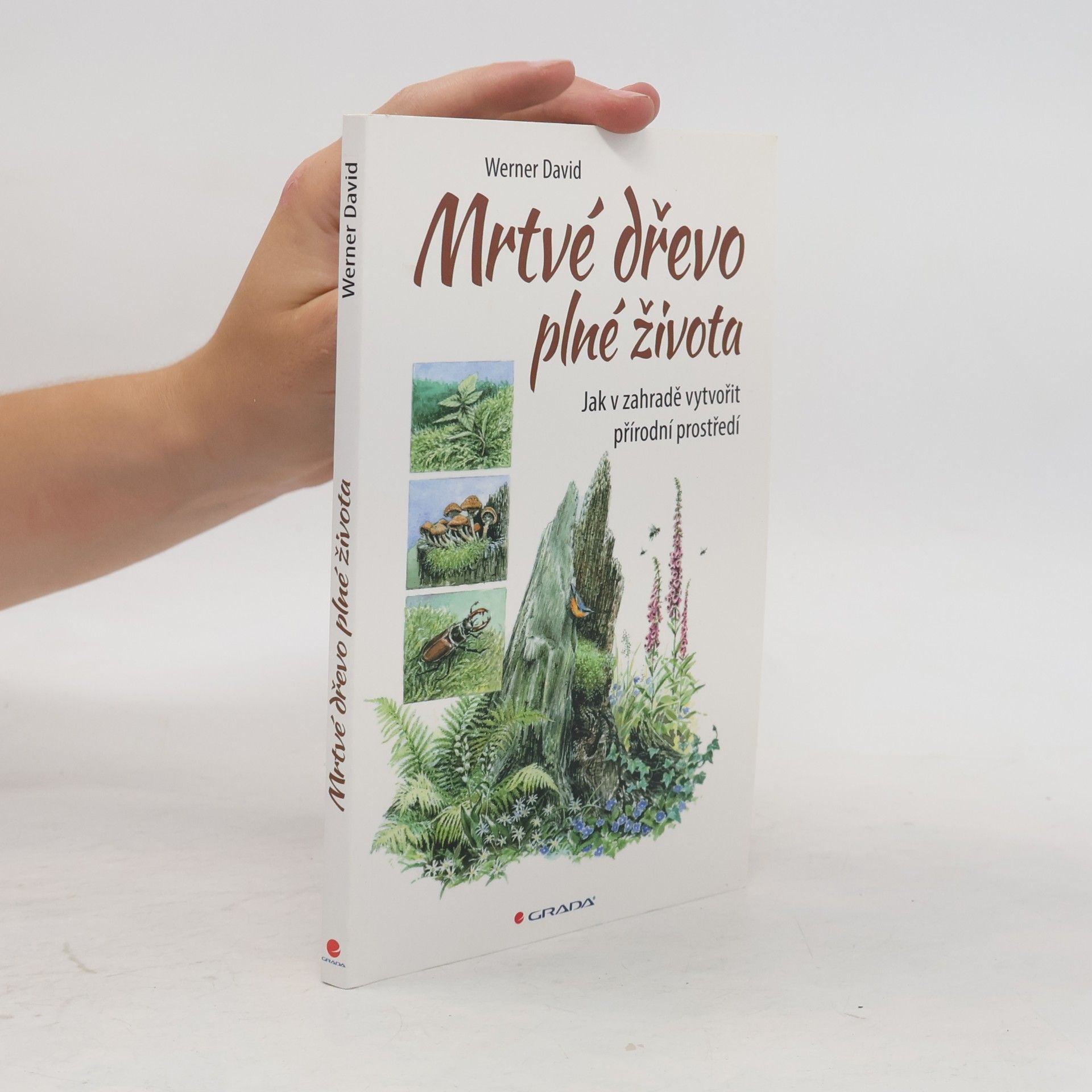 Mrtvé dřevo plné života