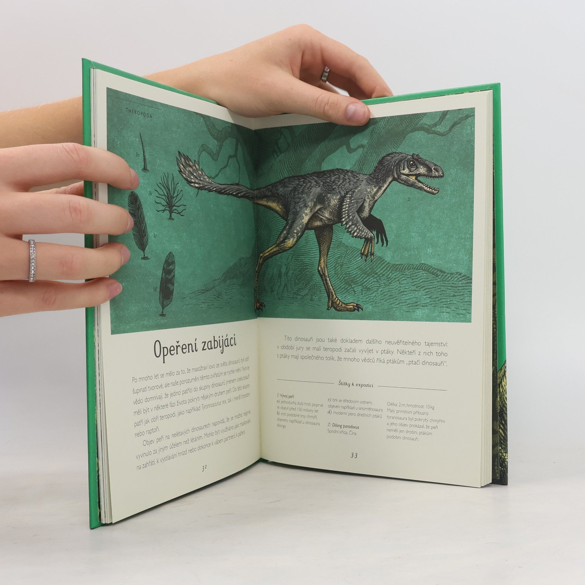Lily Murray Dinosaurium - pro mladší čtenáře