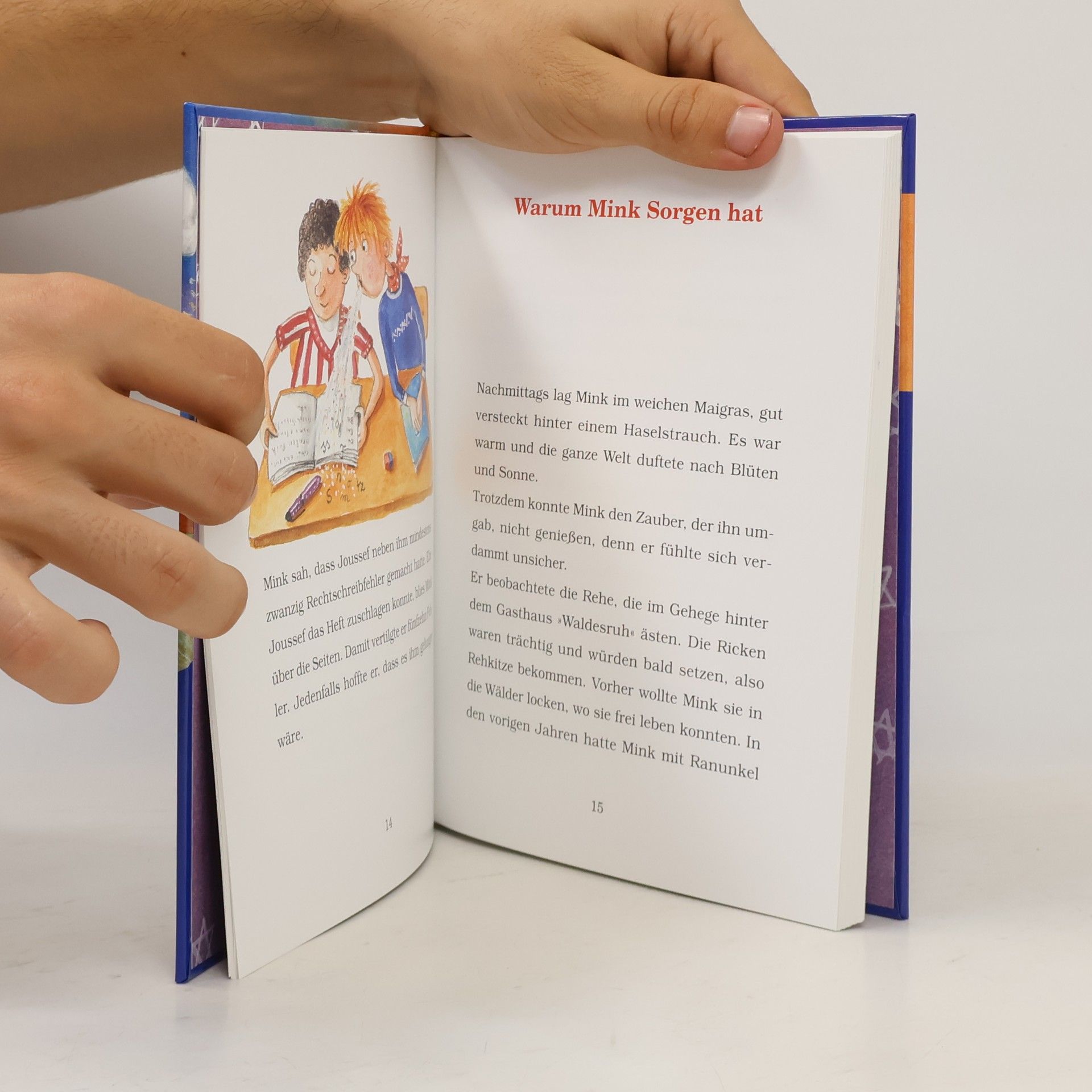 Nortrud Boge-Erli Der Bücherbär: Buntes Leseabenteuer: Mink, der kleine Hexer