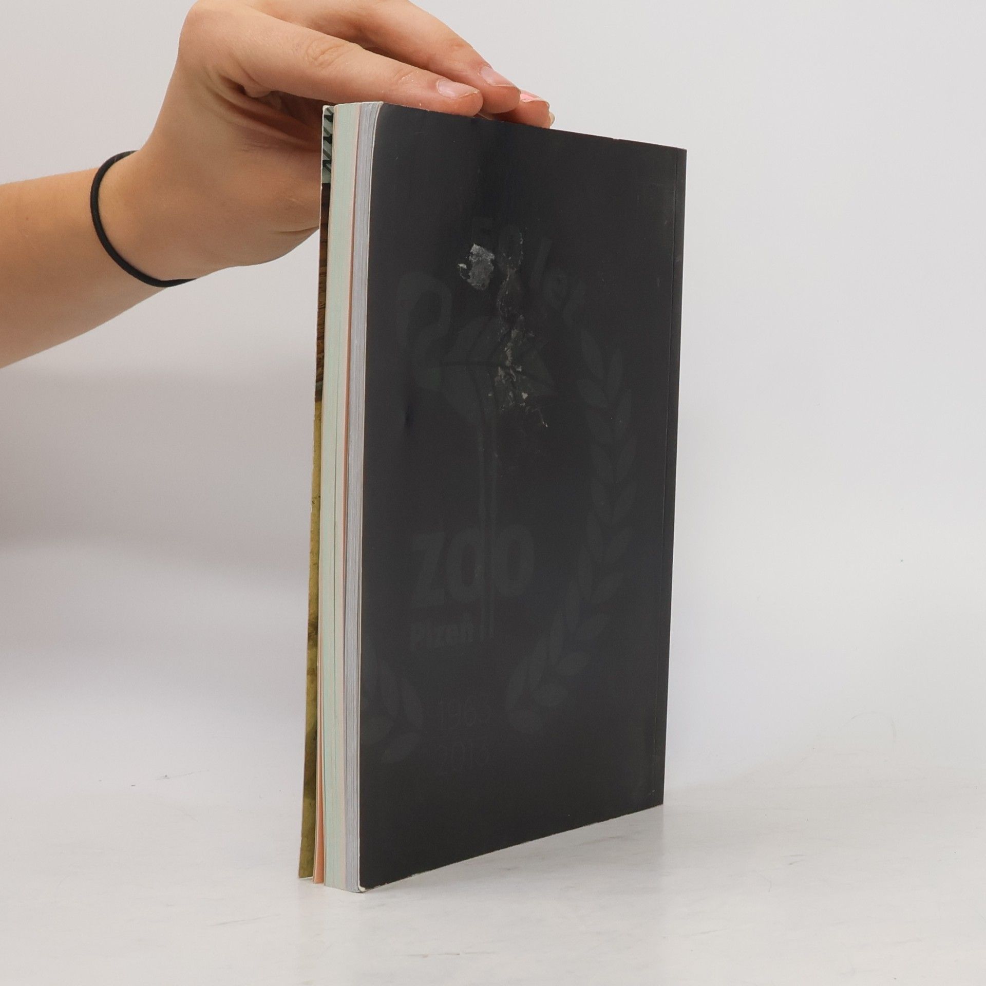 Various authors Výroční zpráva 2013 / Annual Report 2013
