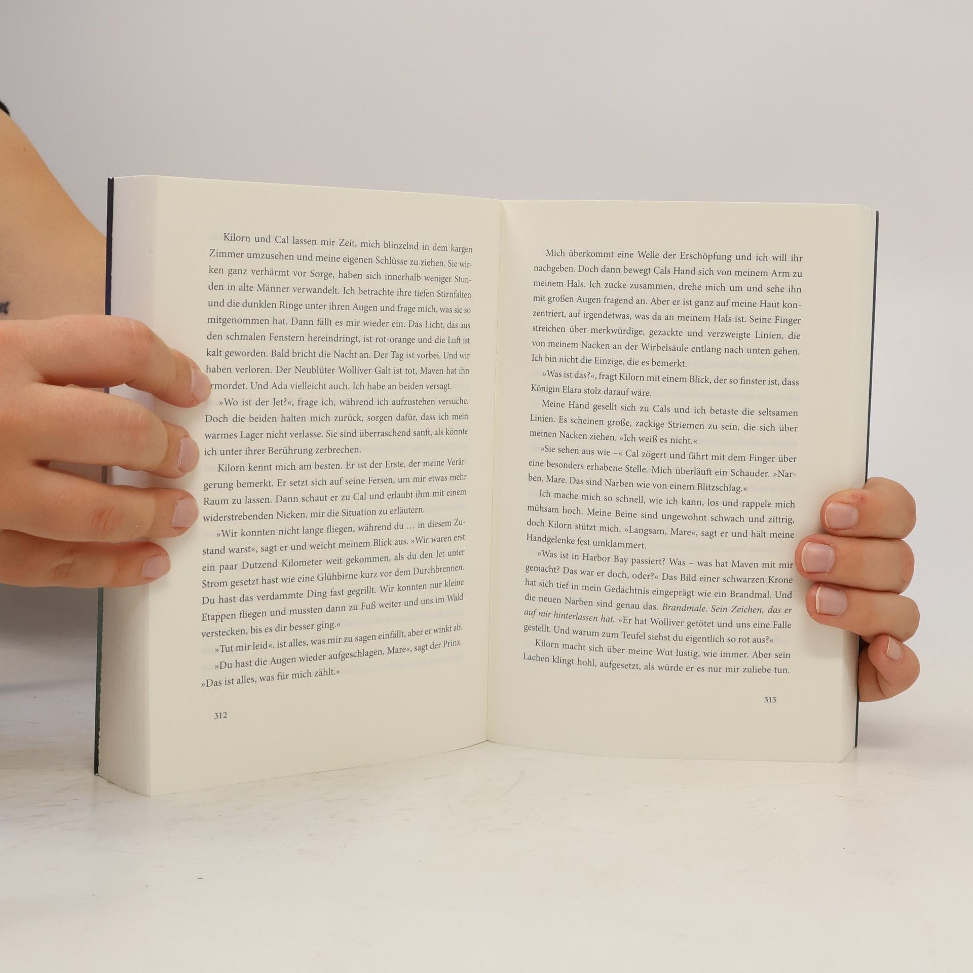 Victoria Aveyard Gläsernes Schwert