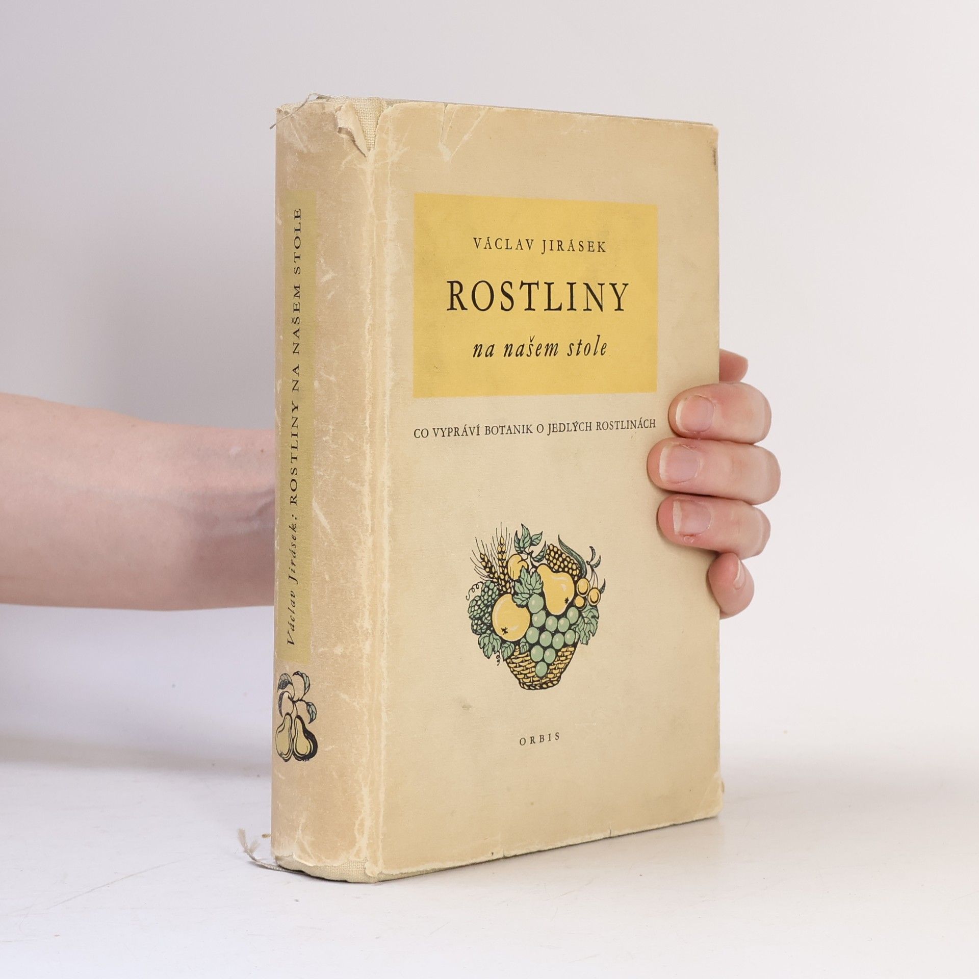 Václav Jirásek Rostliny na našem stole