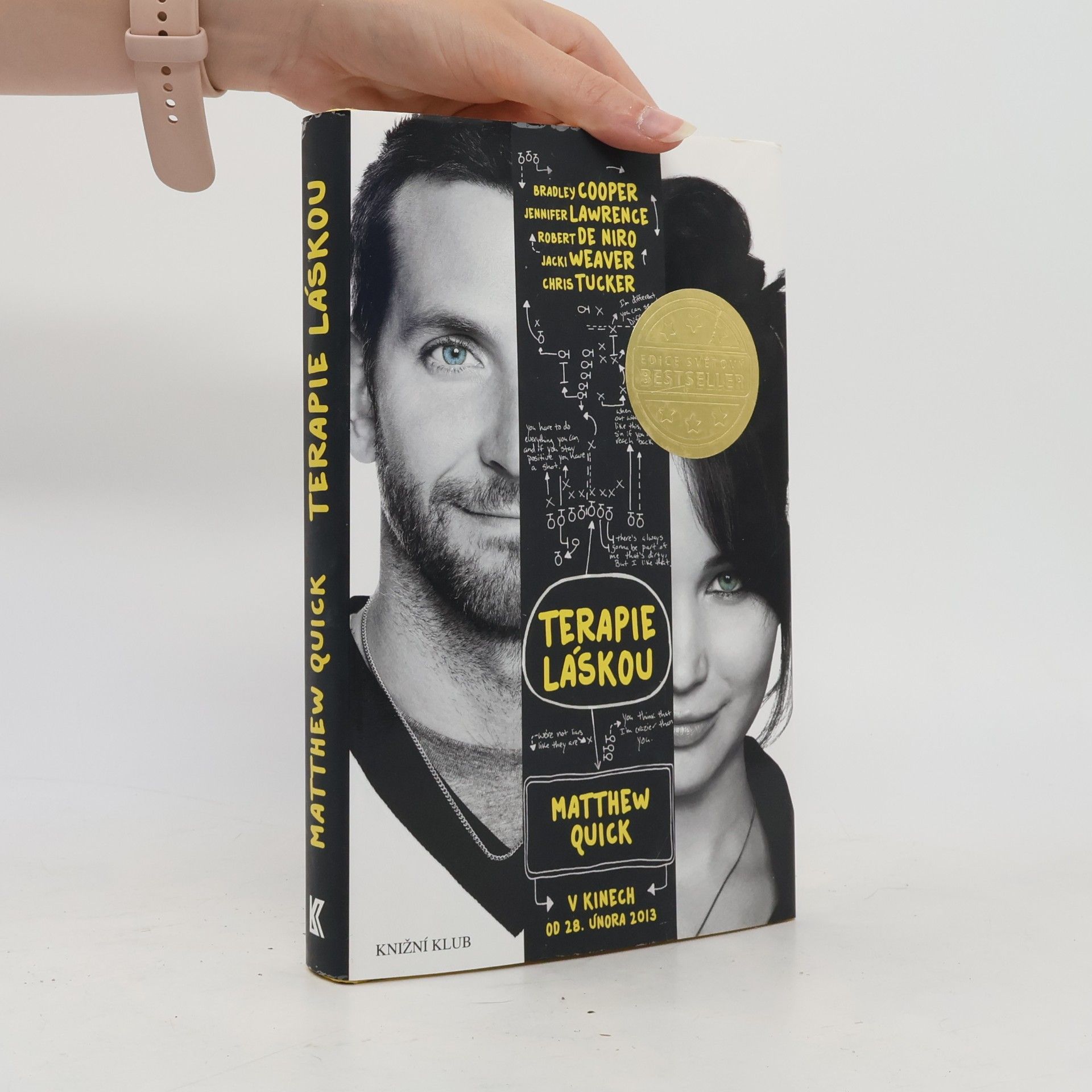 Matthew Quick Terapie láskou