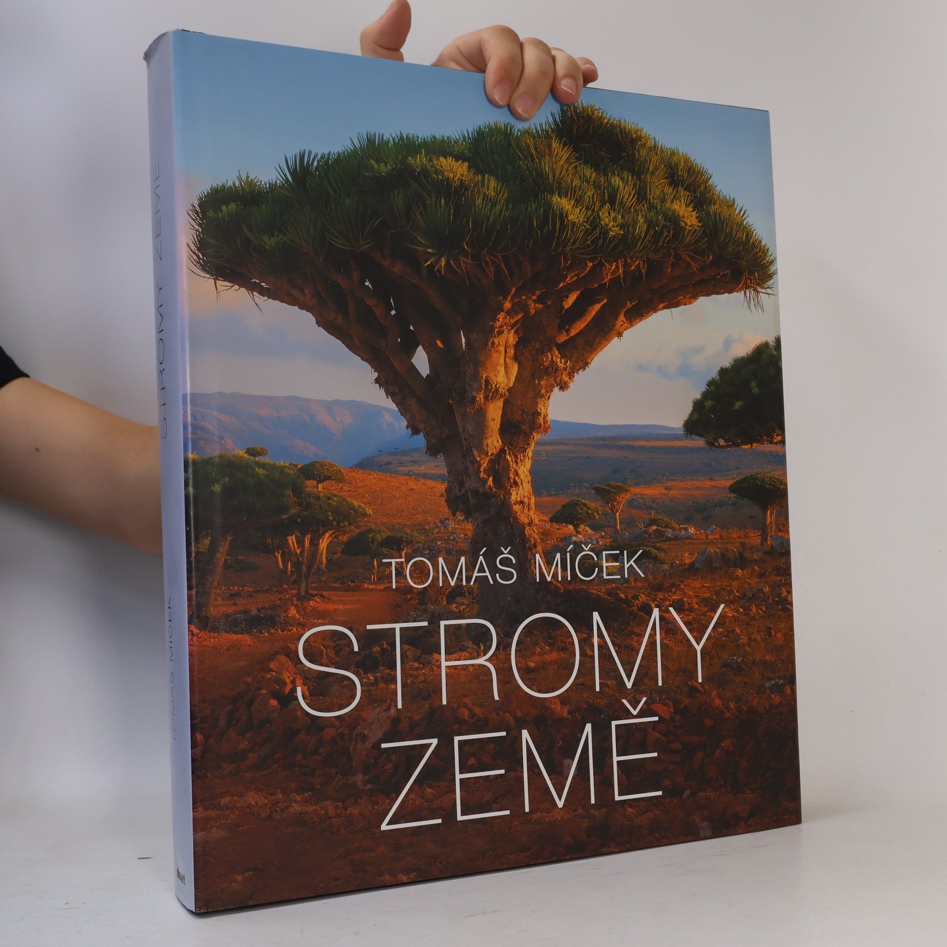 Tomáš Míček Stromy Země