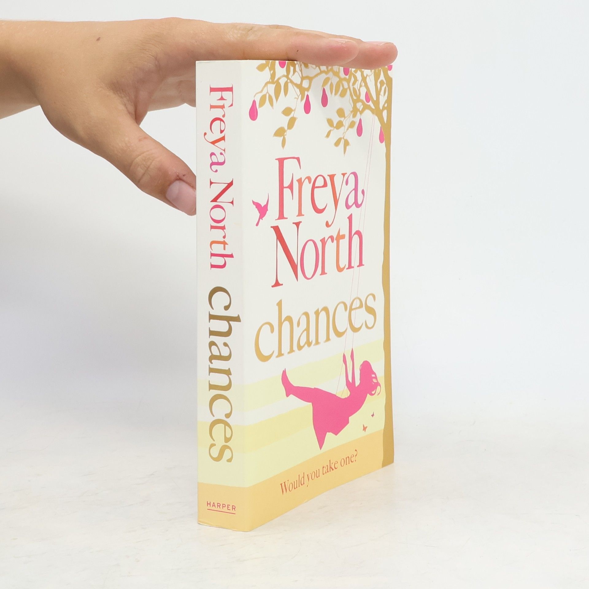 Freya North Chances