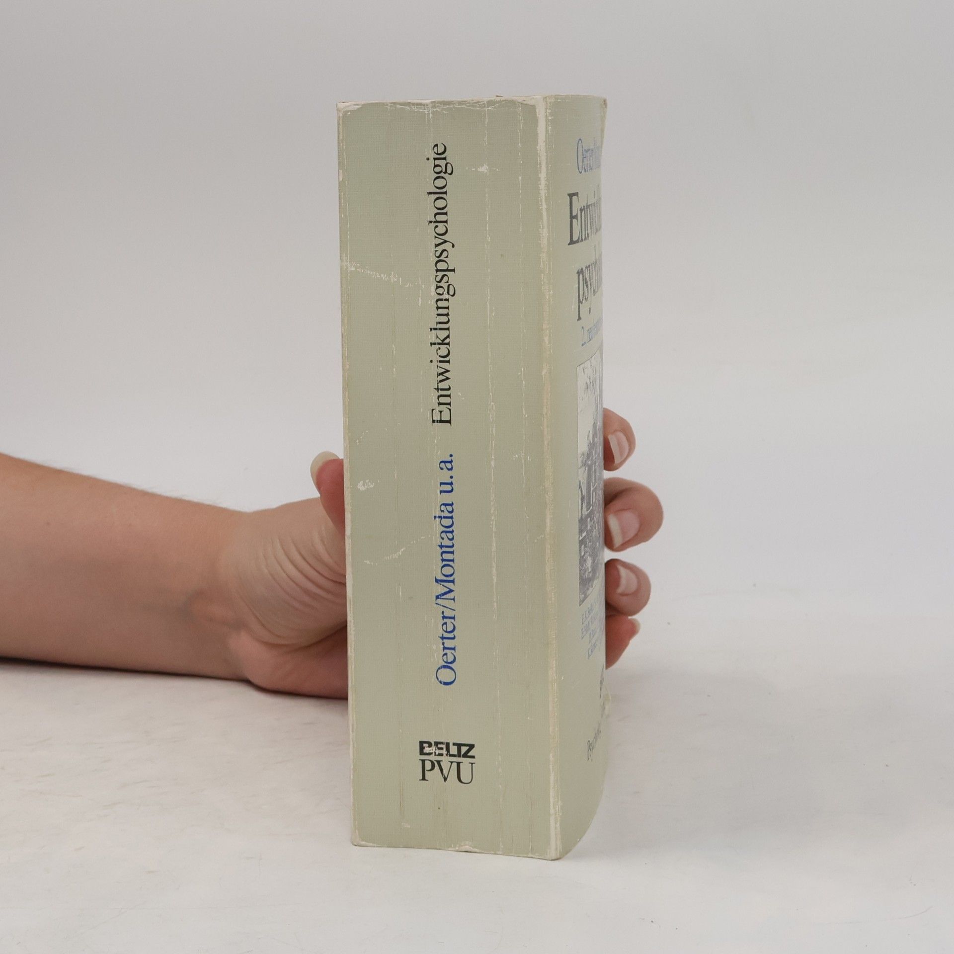 Rolf Oerter Entwicklungspsychologie