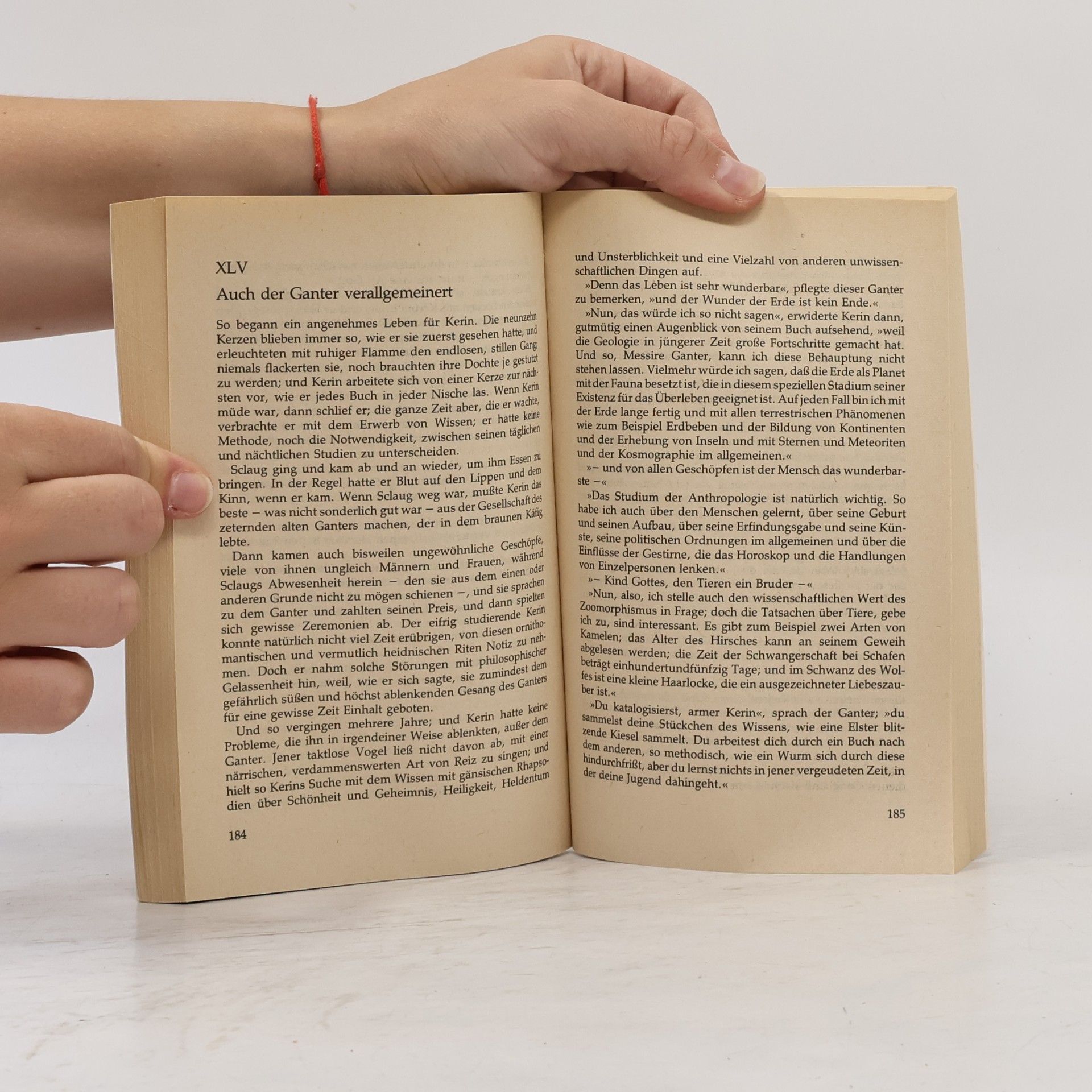 James Branch Cabell Der silberne Hengst