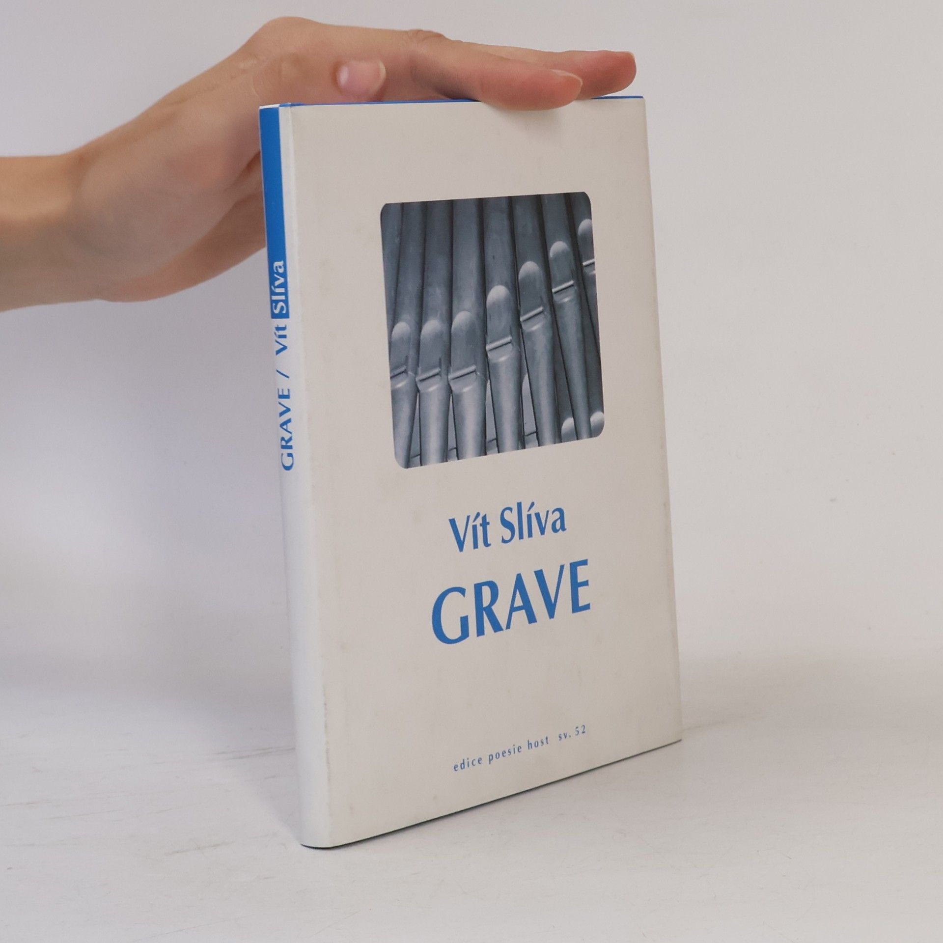 Vít Slíva Grave