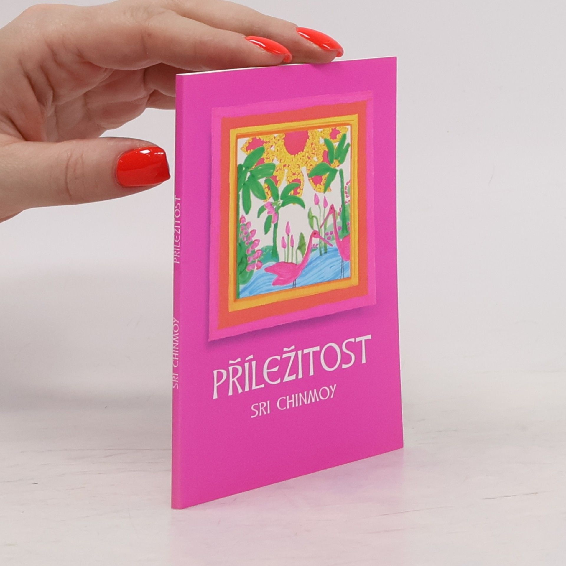Chinmoy Kumar Ghose Příležitost