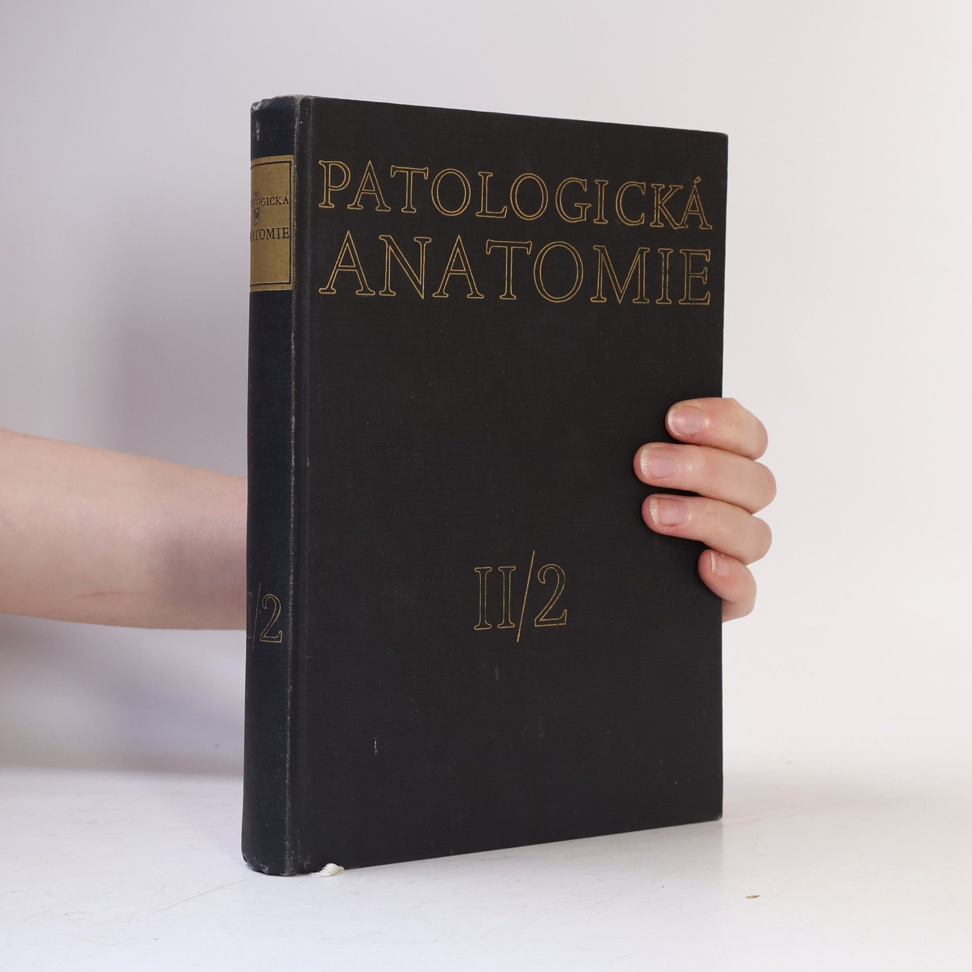 Kolektiv autorů Patologická AnatomieII/2
