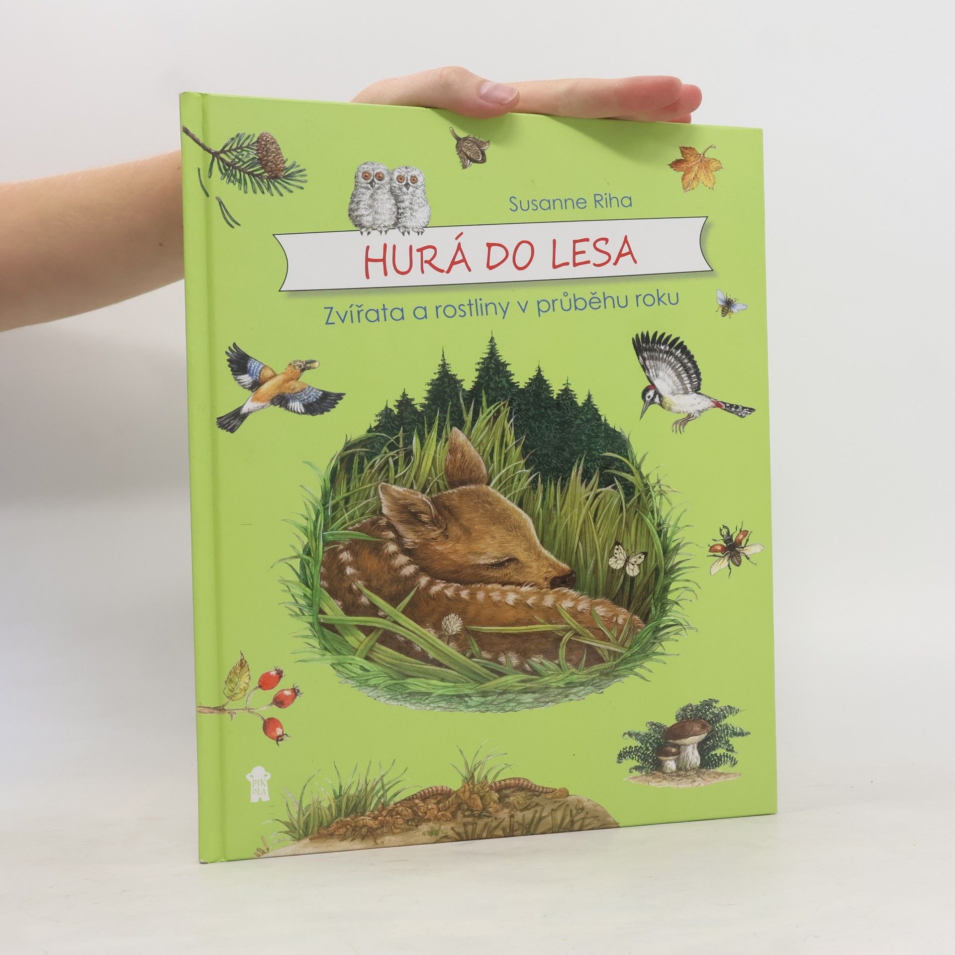 Susanne Riha Hurá do lesa - Zvířata a rostliny v průběhu roku