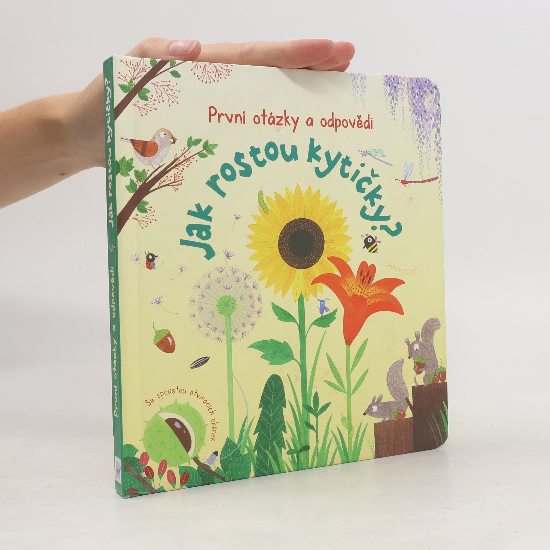 Katie Daynes Jak rostou kytičky?
