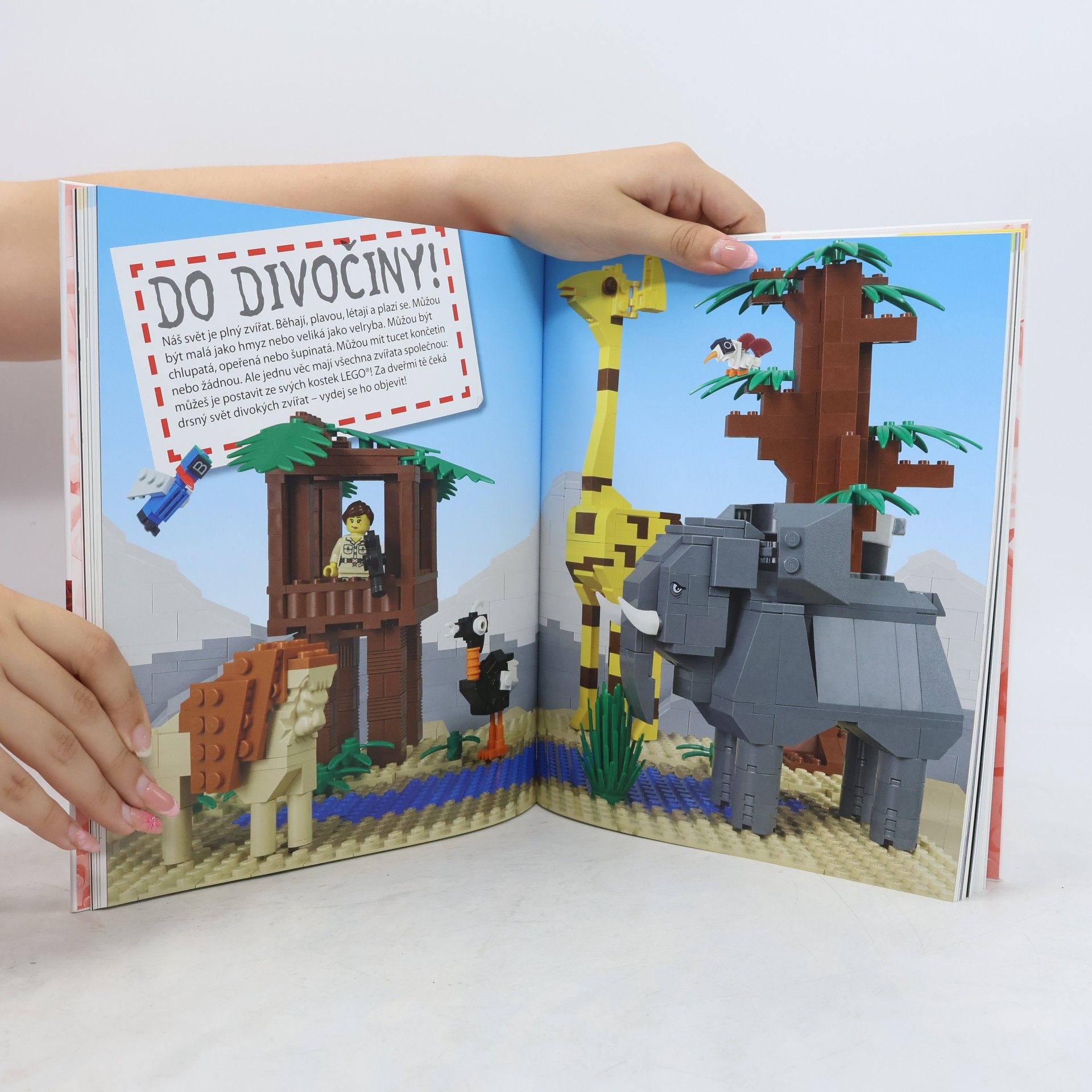 Daniel Lipkowitz Lego. Kniha nápadů