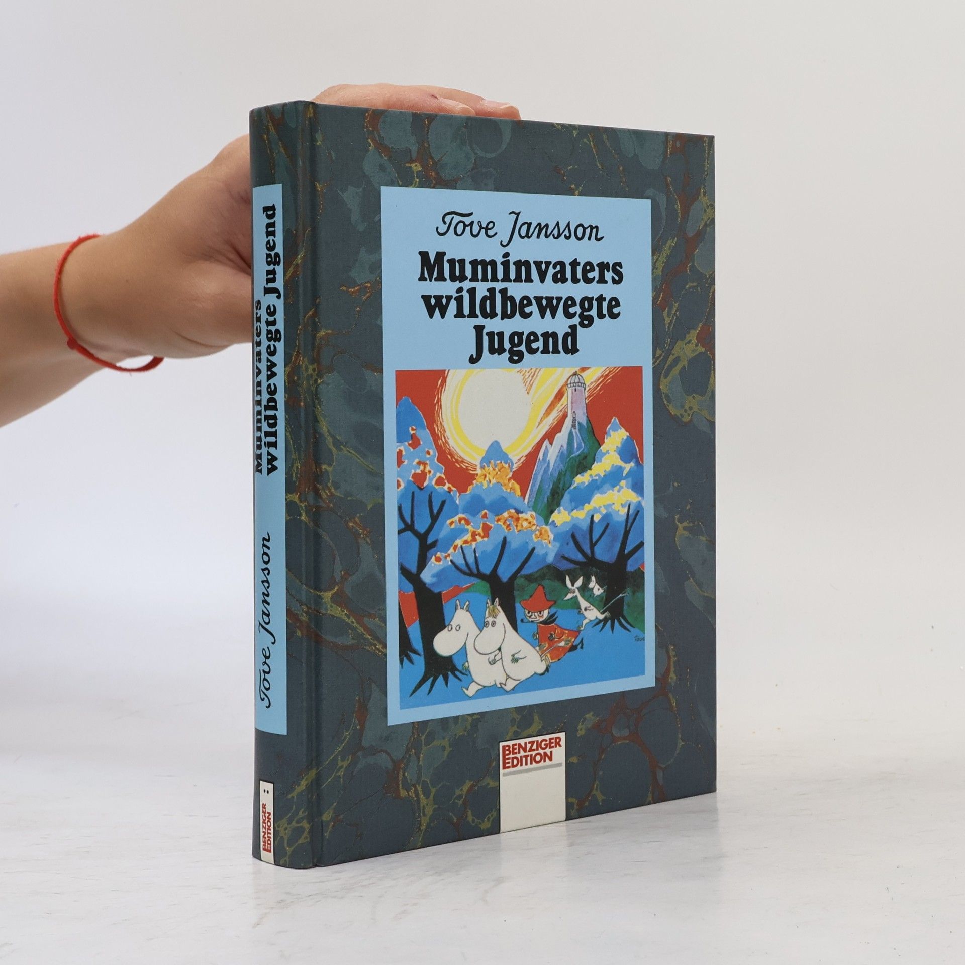 Tove Jansson Muminvaters wildbewegte Jugend