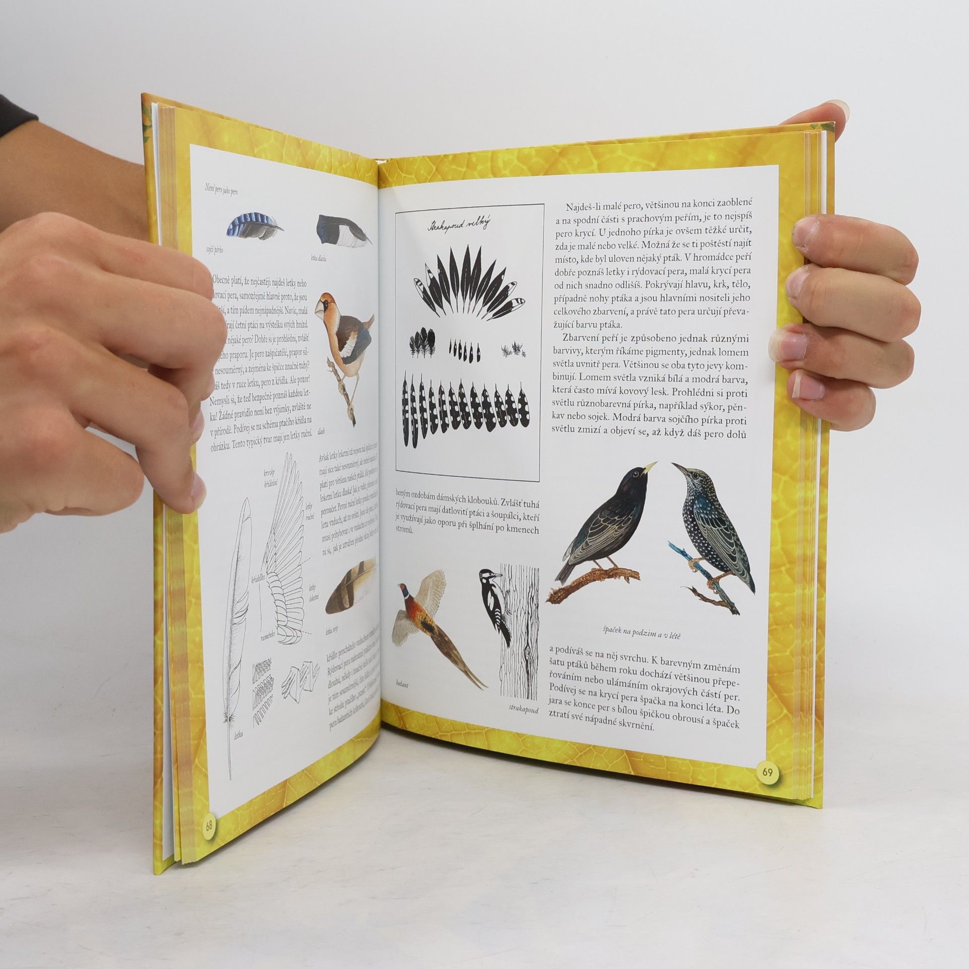 Petr Rob Malá tajemství přírody 2. Příroda doma a v blízkém okolí
