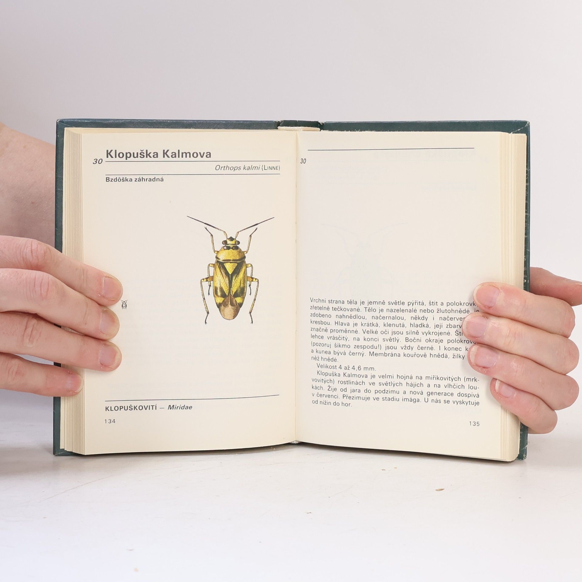 Vladimír Javorek Kapesní atlas ploštic a křísů