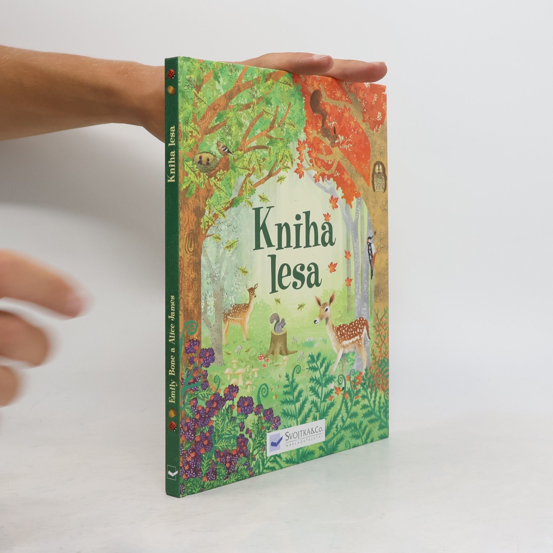 Various authors Kniha lesa