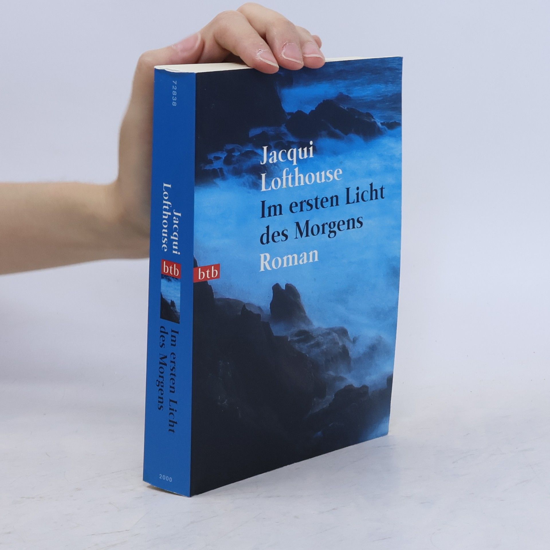 Jacqui Lofthouse Im ersten Licht des Morgens